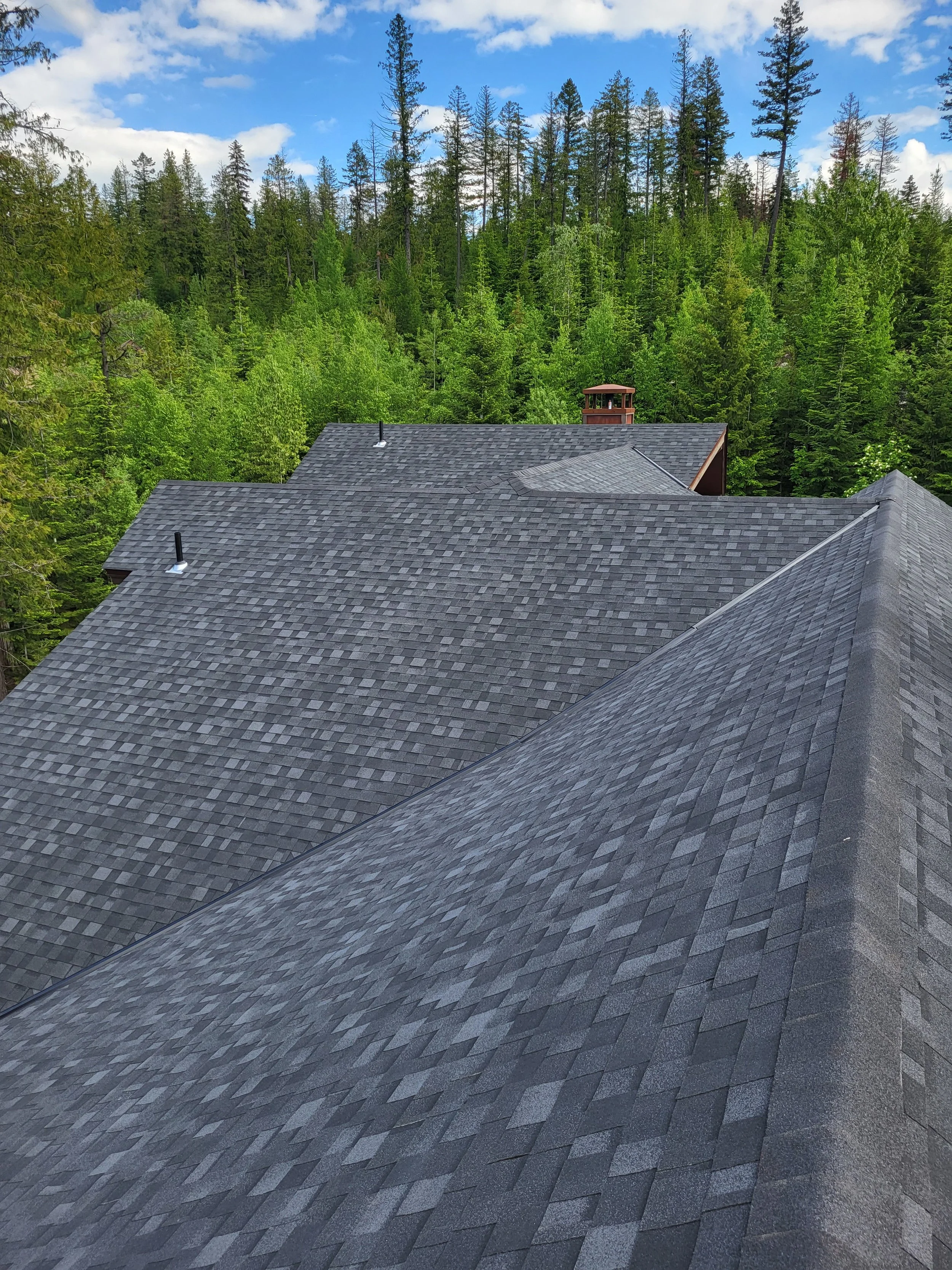 View of a roof with dark gray asphalt shingles, surrounded by tall green trees and a partly cloudy sky.