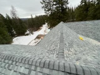 Roof with gray shingles, snow-covered ground, and forested background.
