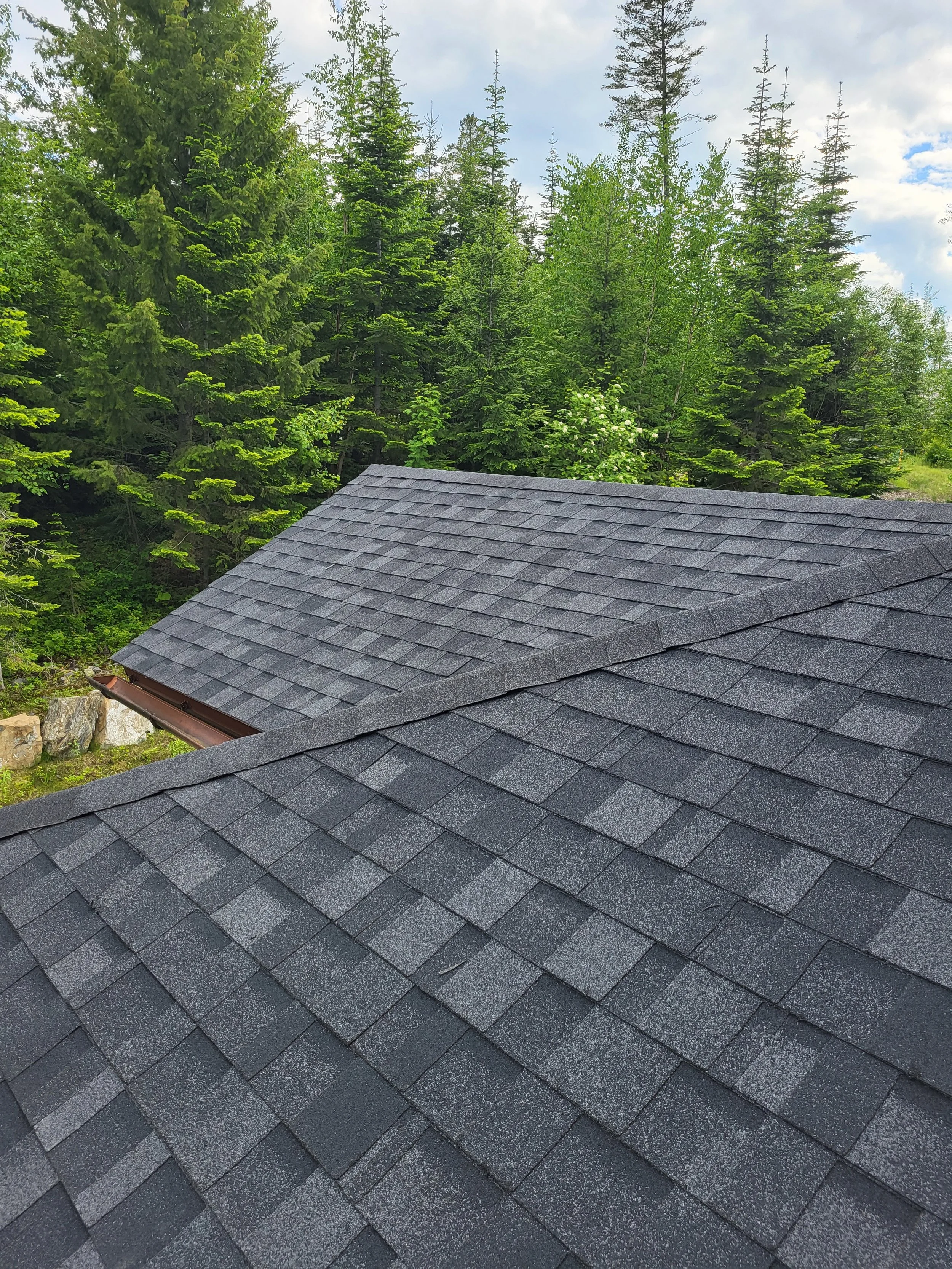 Close-up of a dark gray shingle roof with a mixed backdrop of pine trees and a partly cloudy sky.