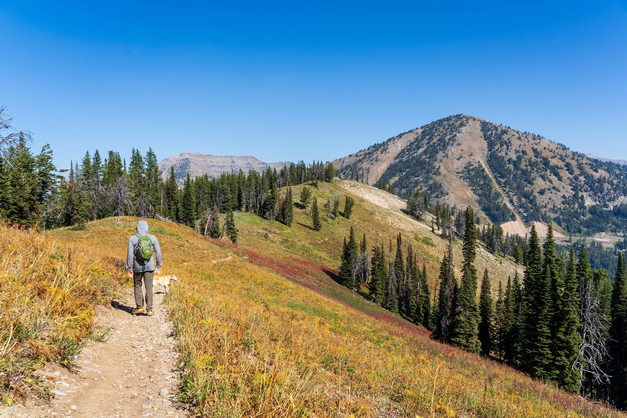 A hiker walks on a trail near Teton Pass in the fall.