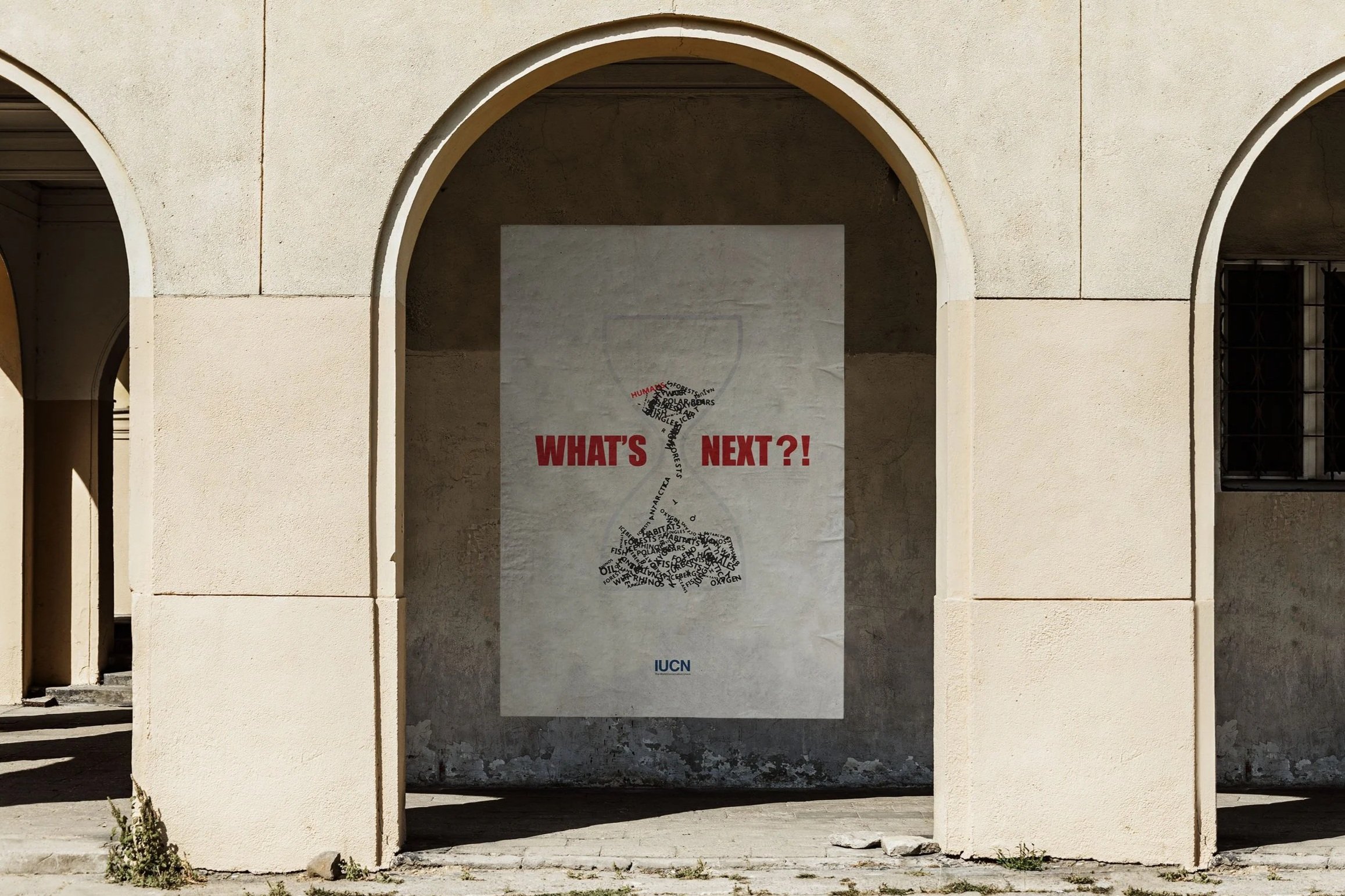 What's Next?! Poster