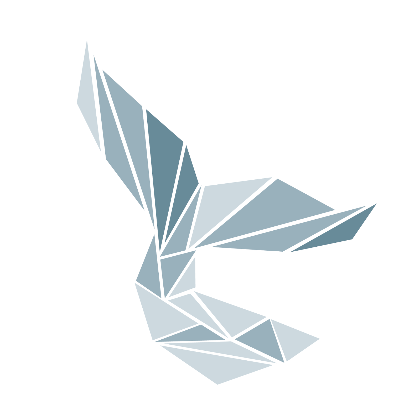 Glass Whale Design