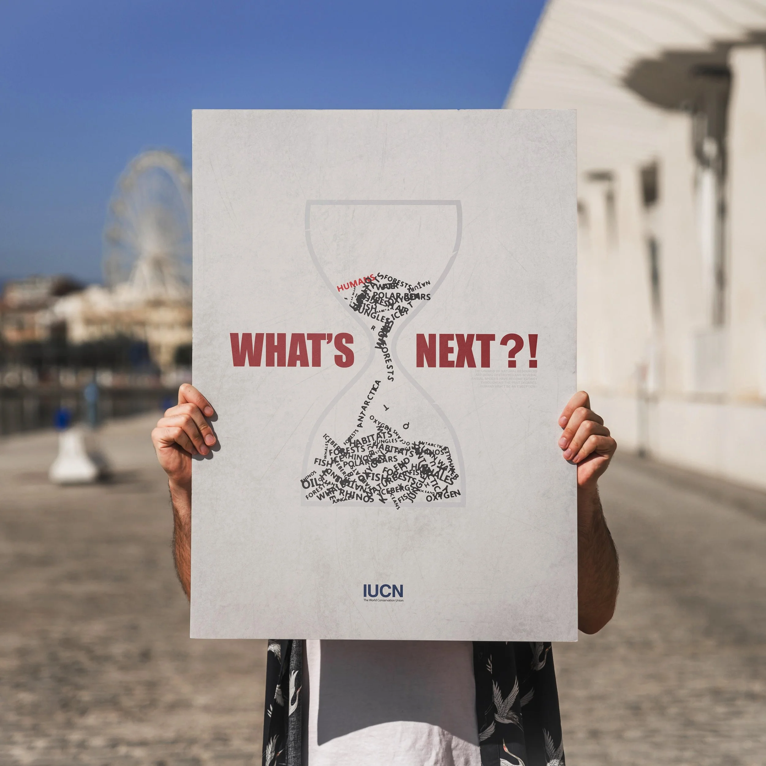 what's next poster 2 copy.jpg