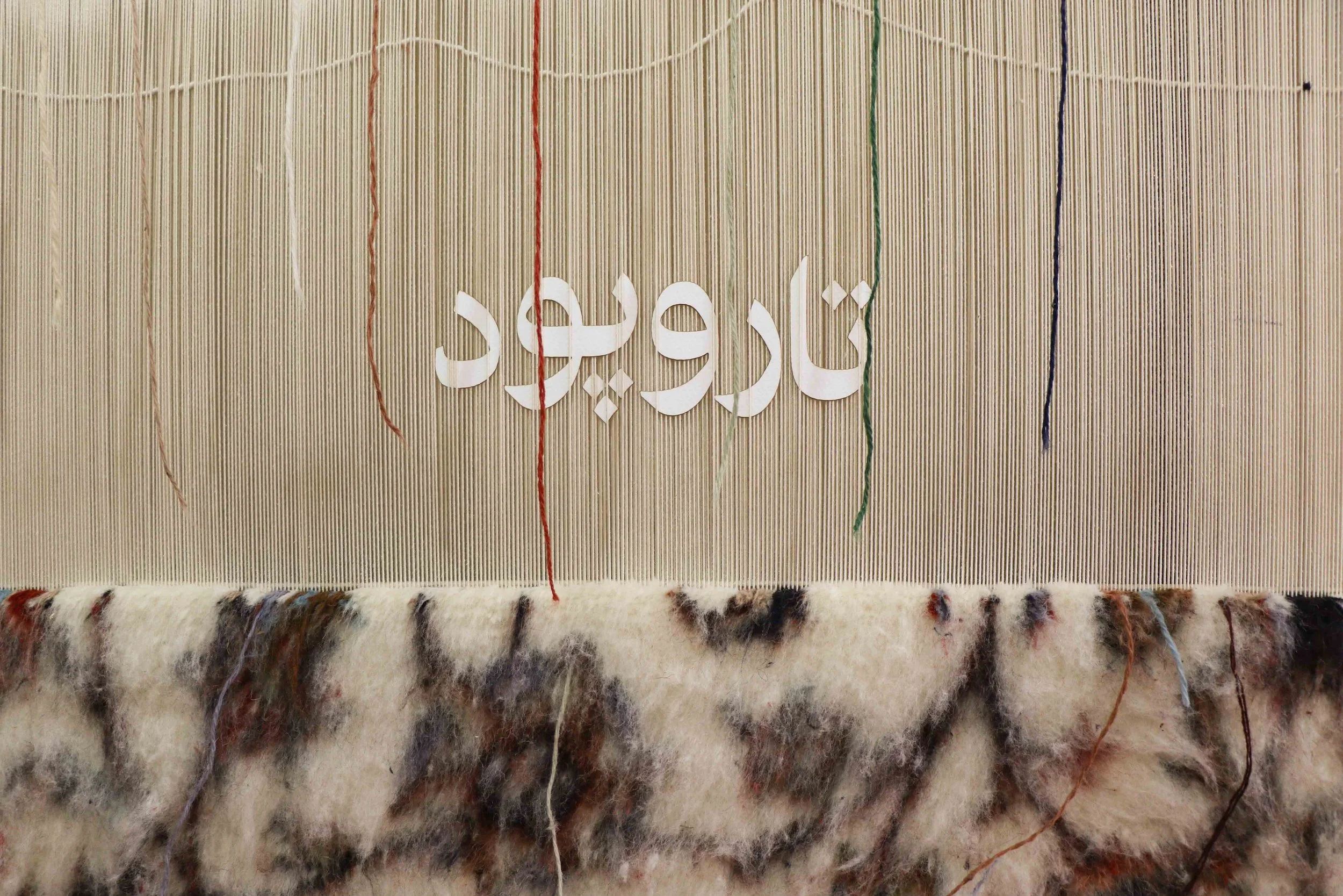 tar va pood draft 3.jpg