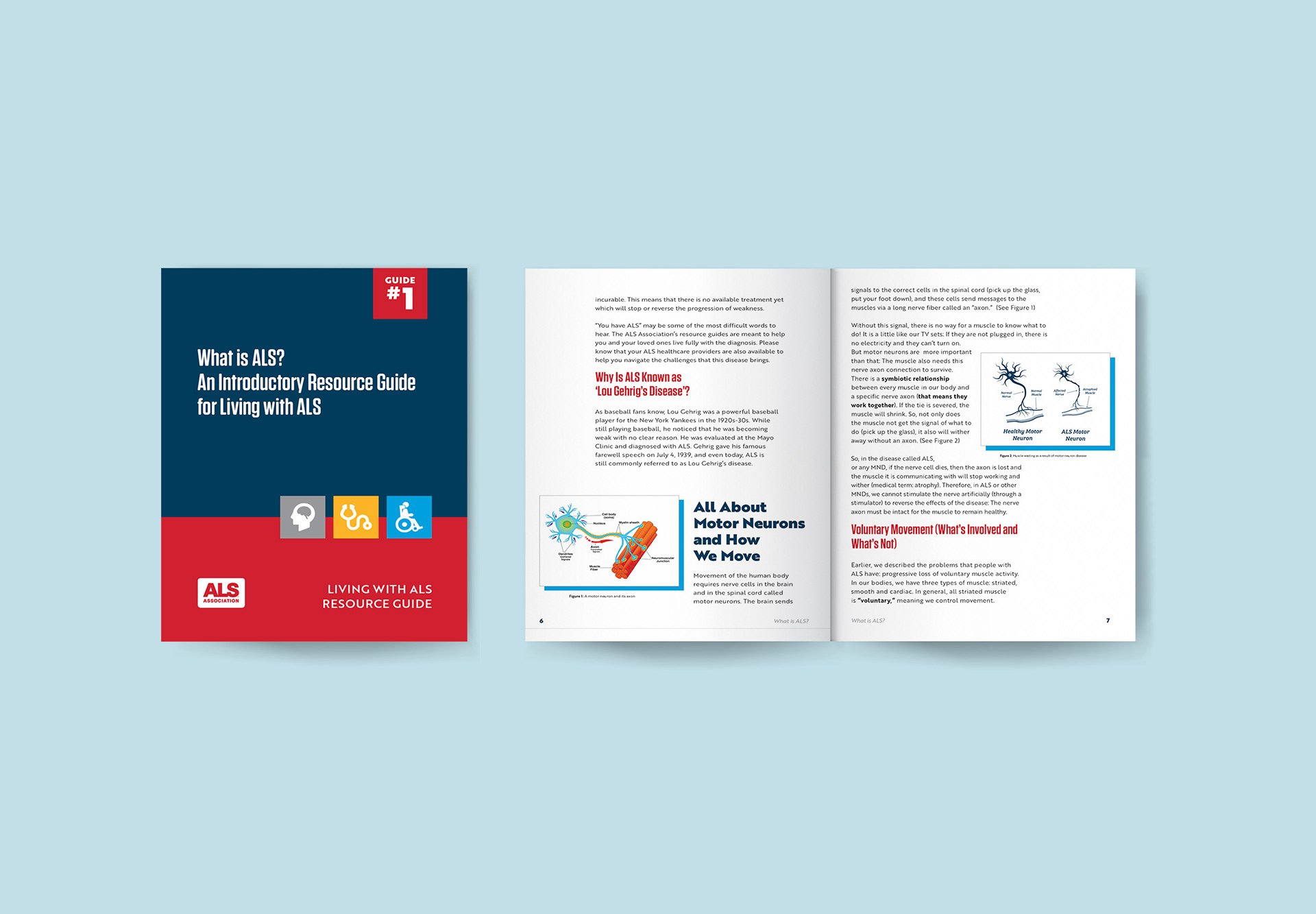 Section 508 Compliance for ALS Association