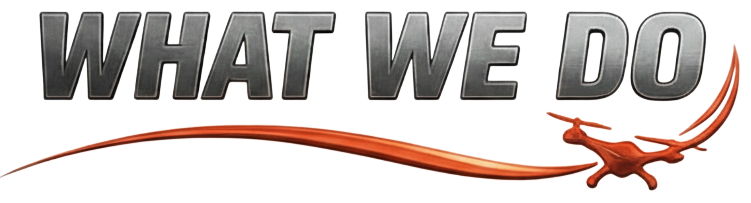 Text saying 'WHAT WE DO' with a stylized swoosh and a lizard graphic.