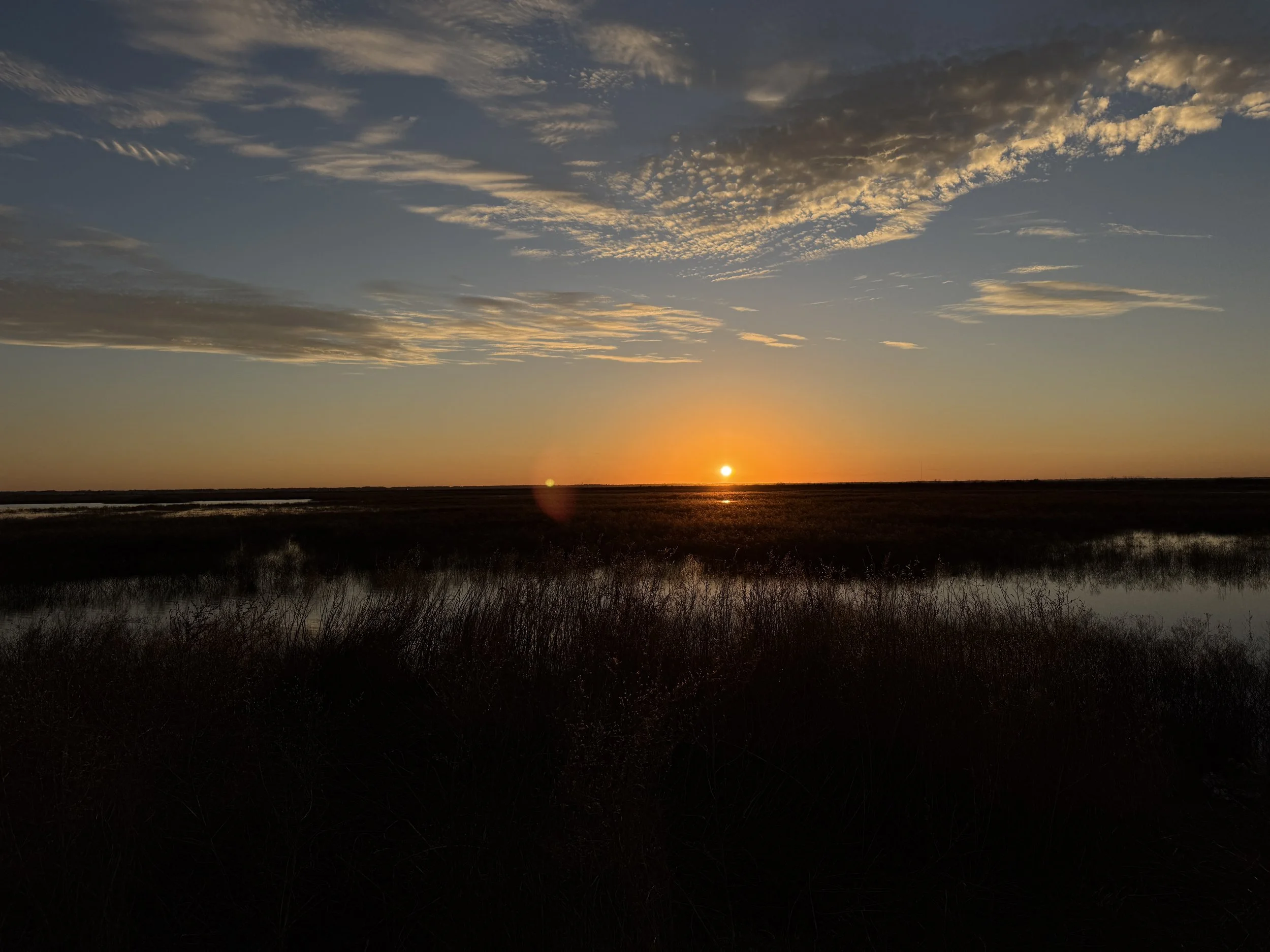 A sunset over a wetland with the sun near the horizon, casting orange and yellow hues across the sky, with scattered clouds above and dark vegetation in the foreground.