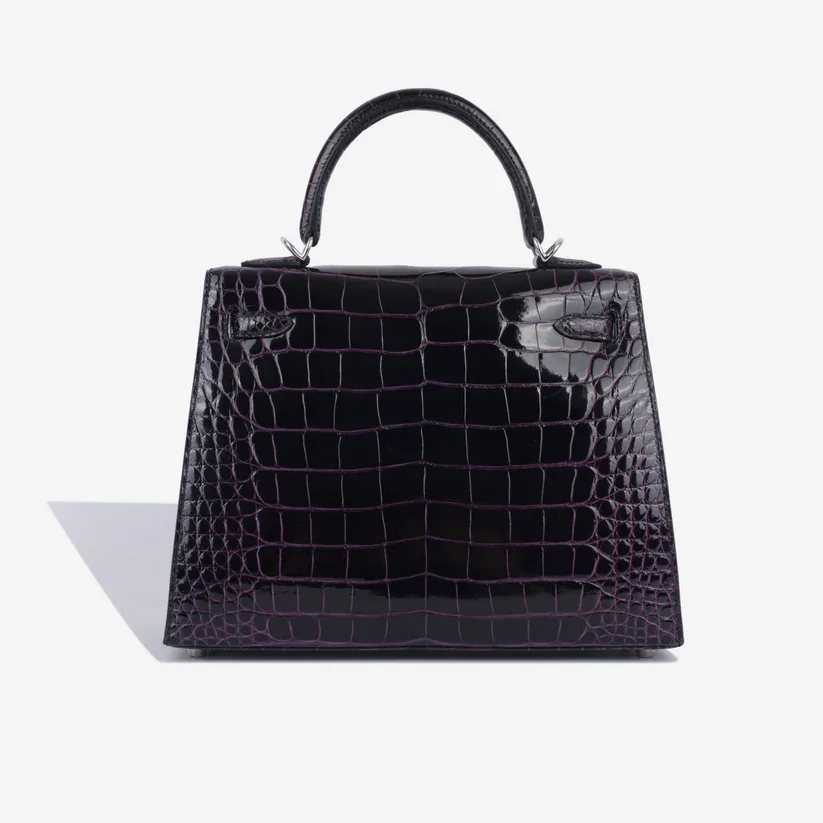 SOR2950-HERMES-KELLY25-AUBERGINESHINYCROCPHW-_42_999_4334.webp