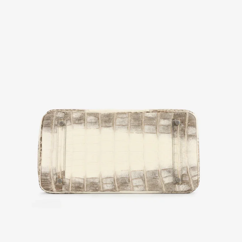 SOR4940-HERMES-BIRKIN35-HIMALAYACROCODILENILOTICUSPHW_37ch50.webp