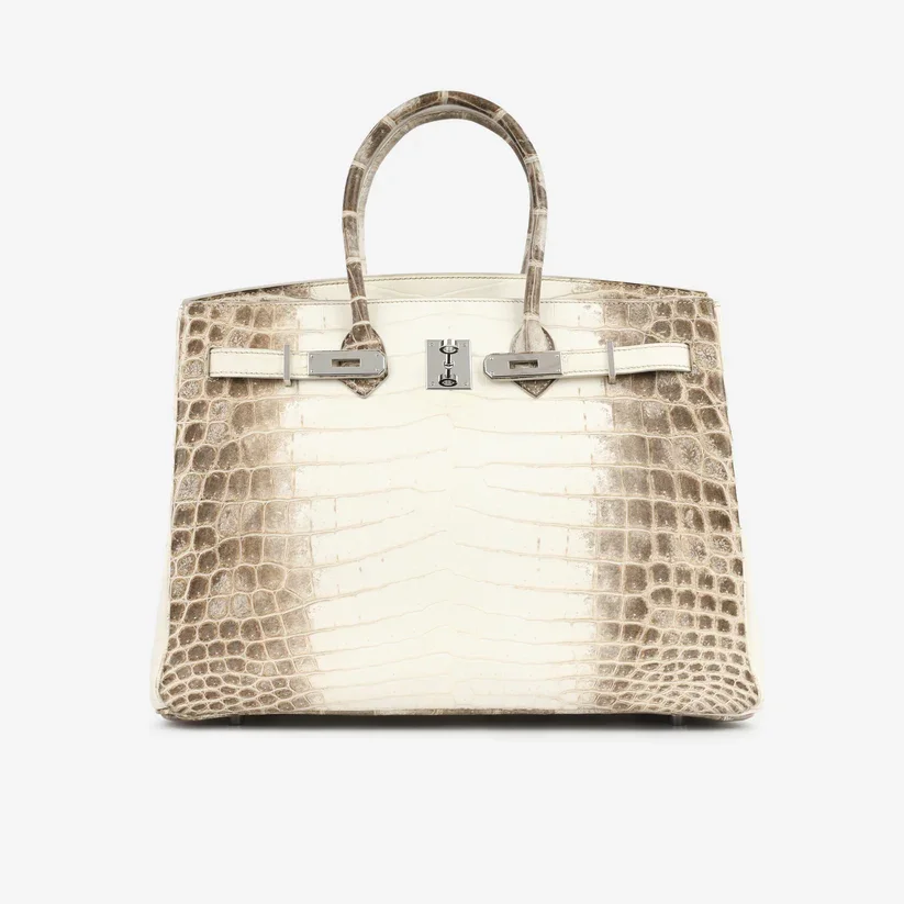 SOR4940-HERMES-BIRKIN35-HIMALAYACROCODILENILOTICUSPHW_37yj50.webp