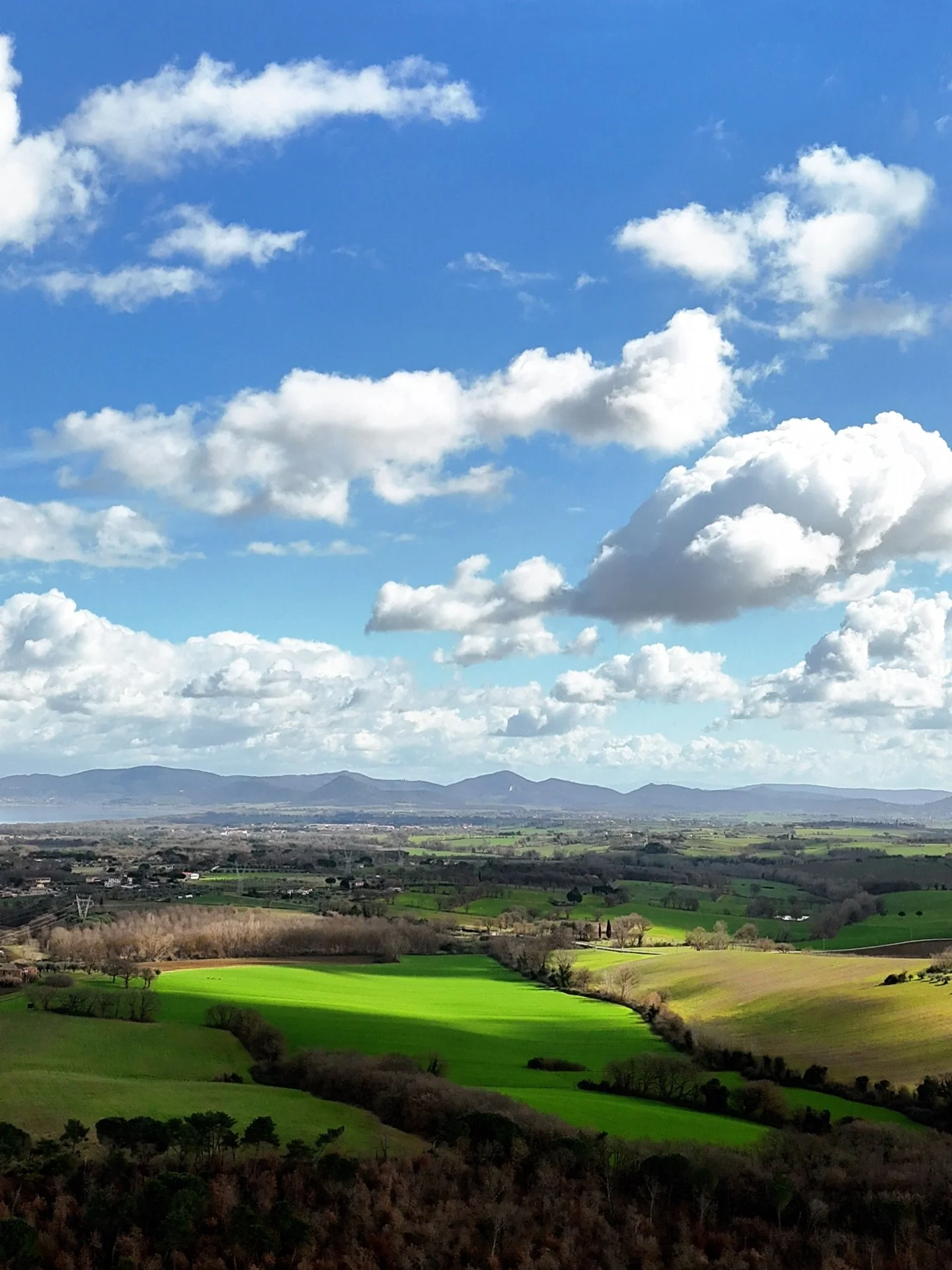 #springiscoming #nature #visittuscany #casalebaldelli #braceriabaldelliristorante
