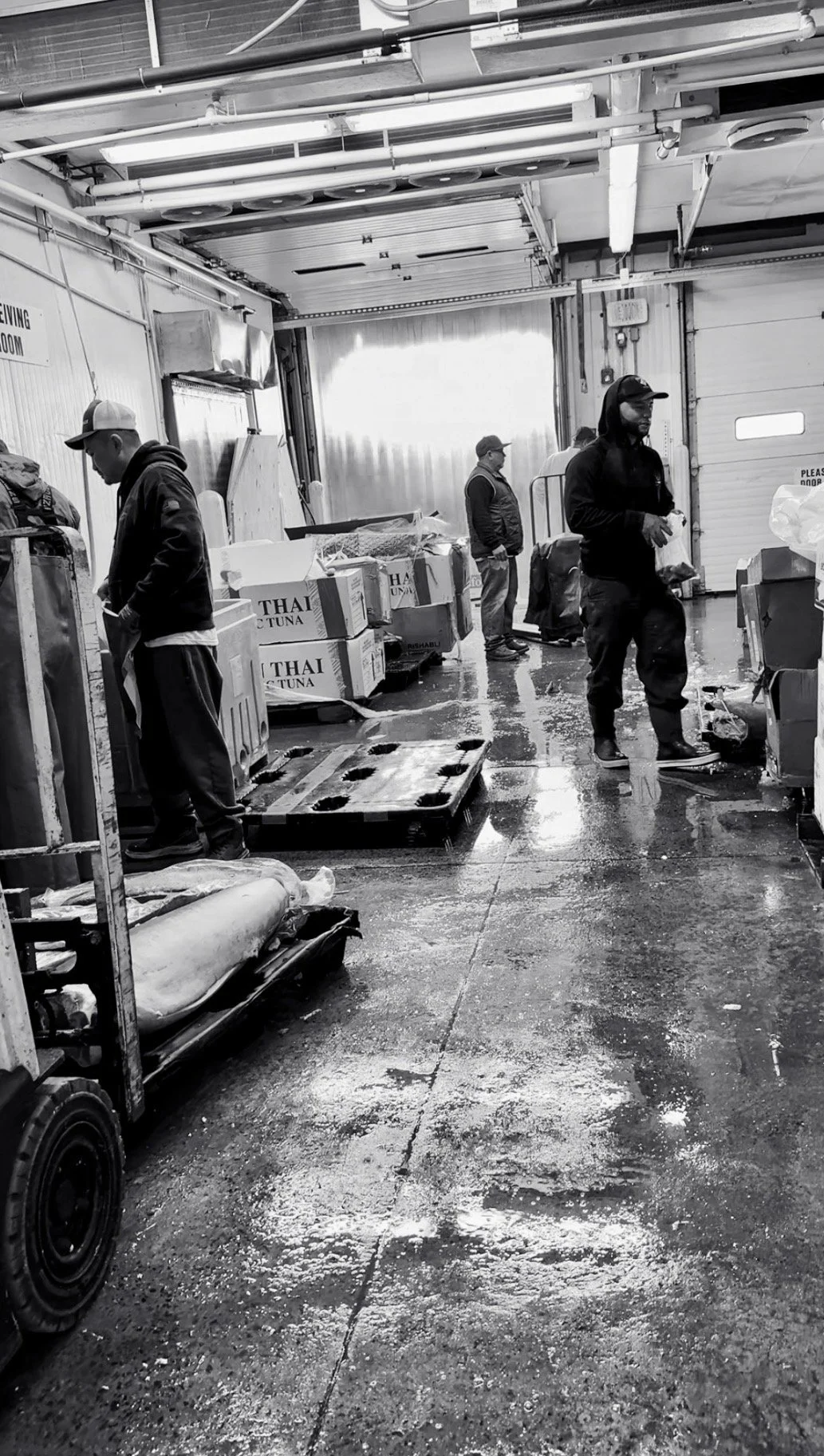 Boston Bluefin