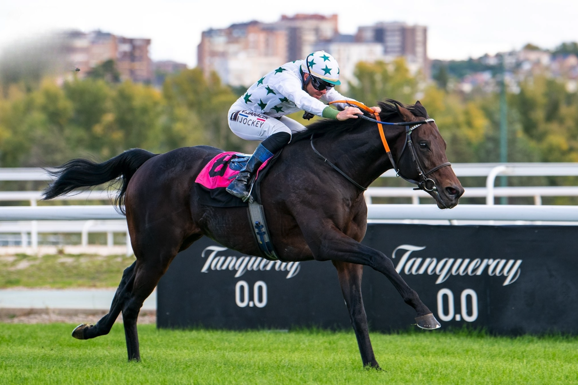 Ganador de Gran Premio