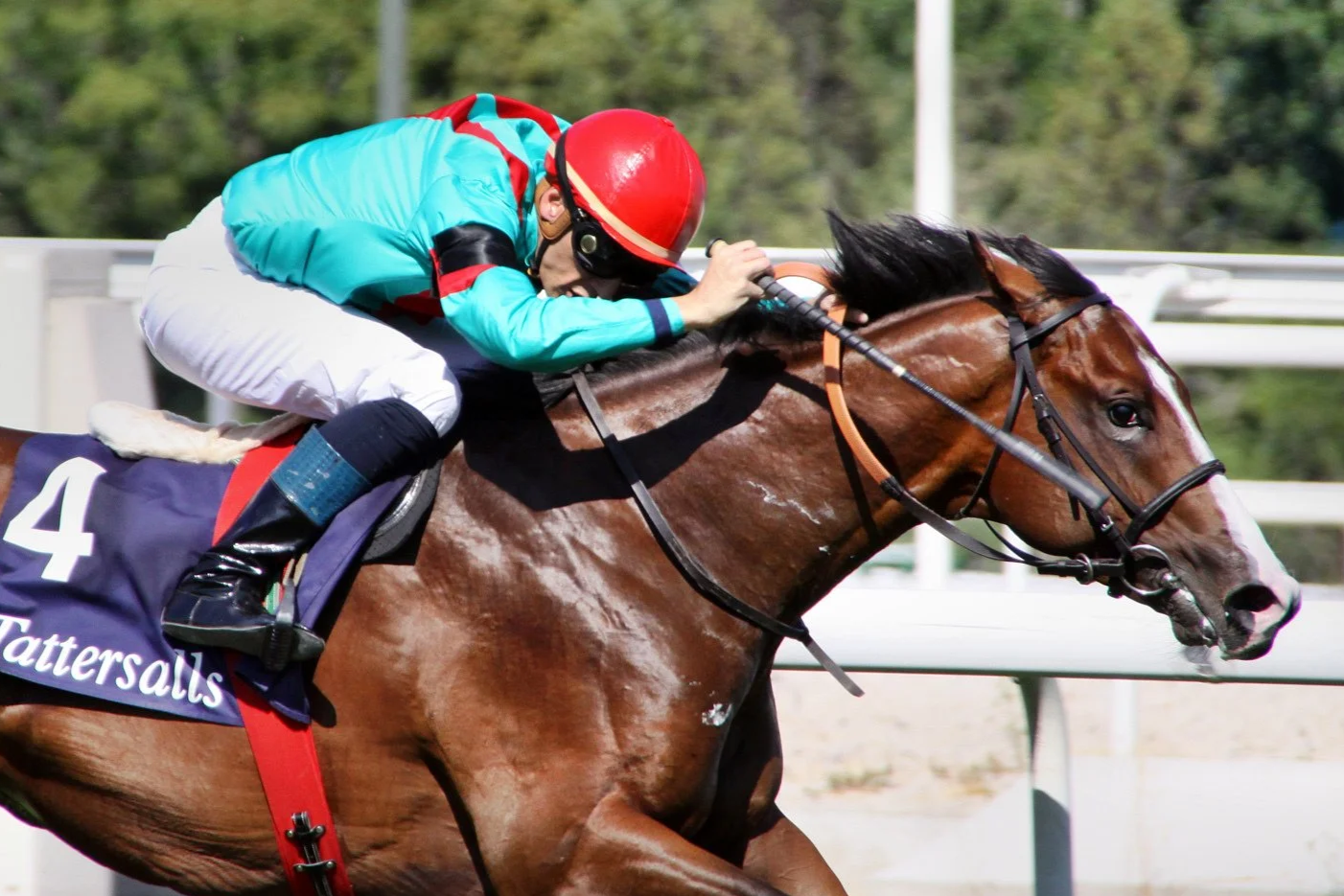 ¡Bienvenido NOOZHOH CANARIAS!