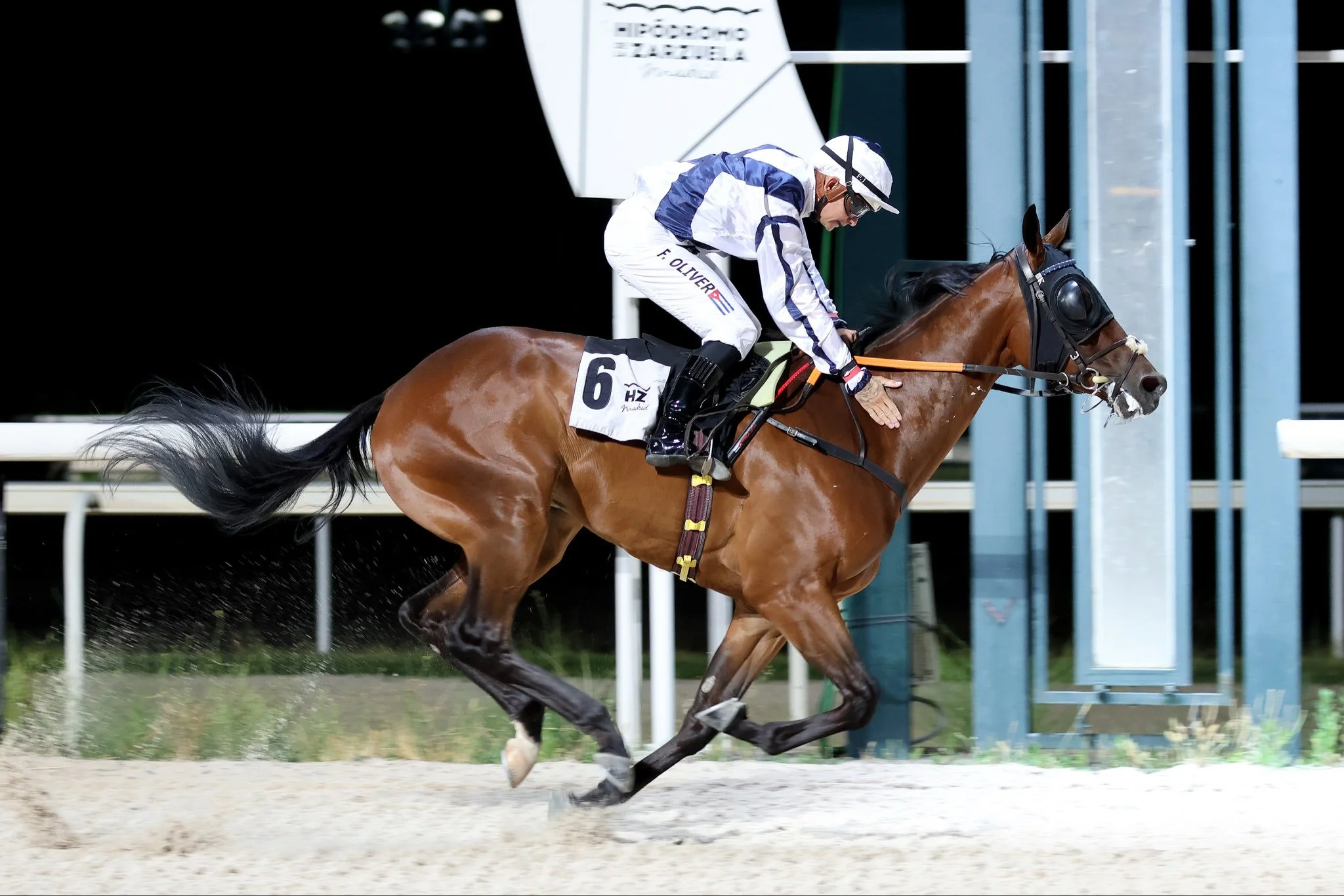 MACARIO (IRE)