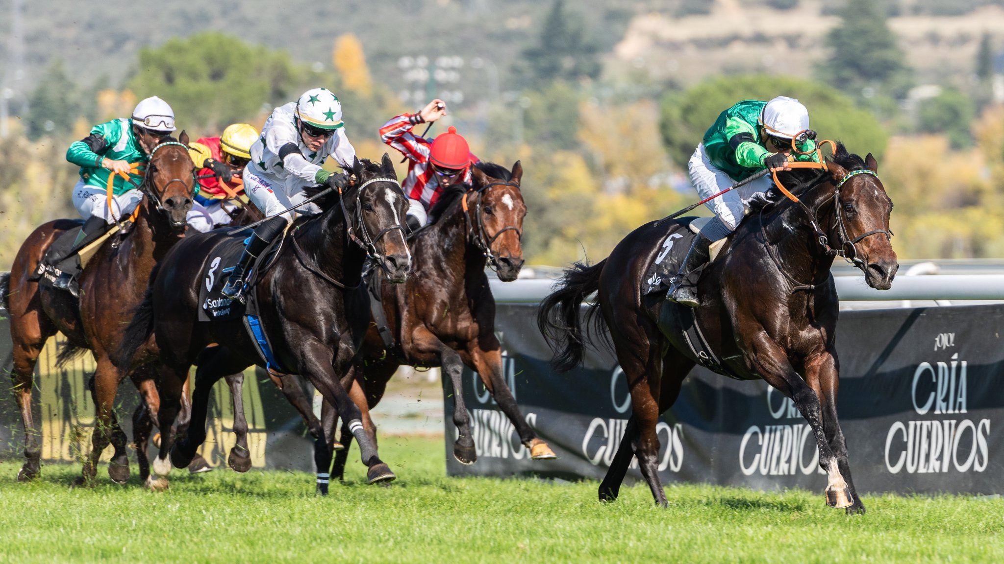 Ganador de Gran Premio