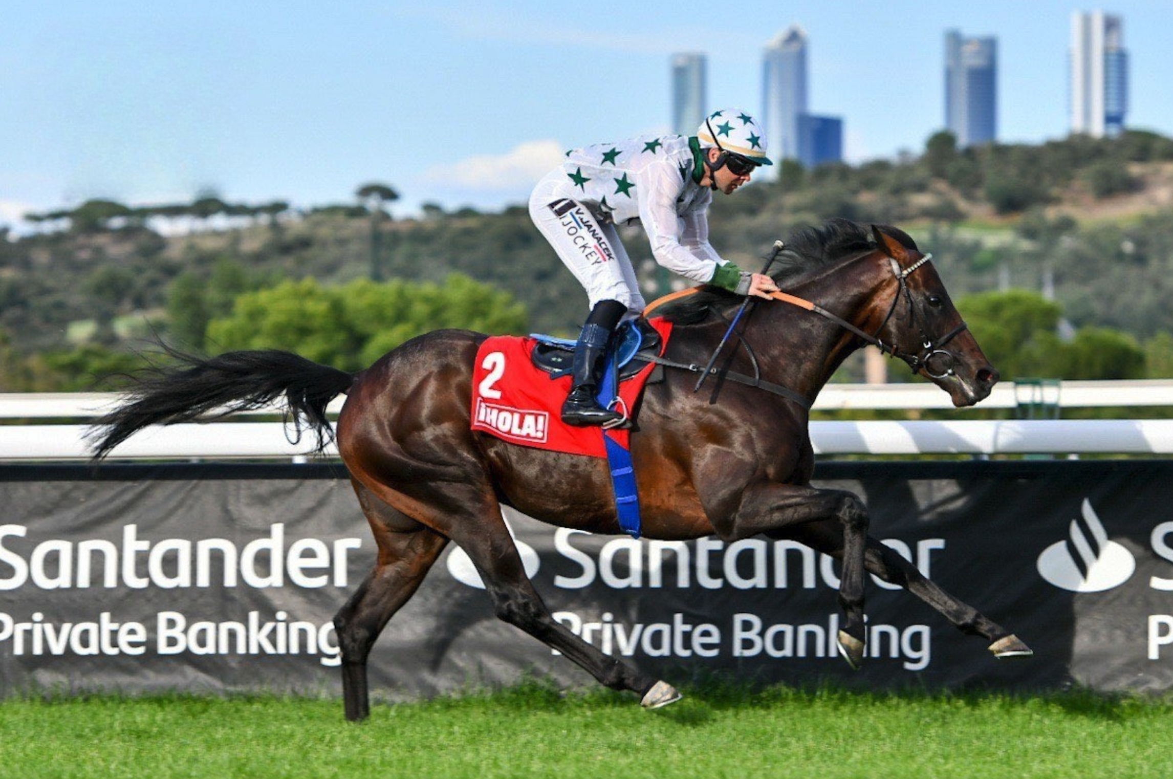 NOOZHOH CANARIAS, mejor semental de españa