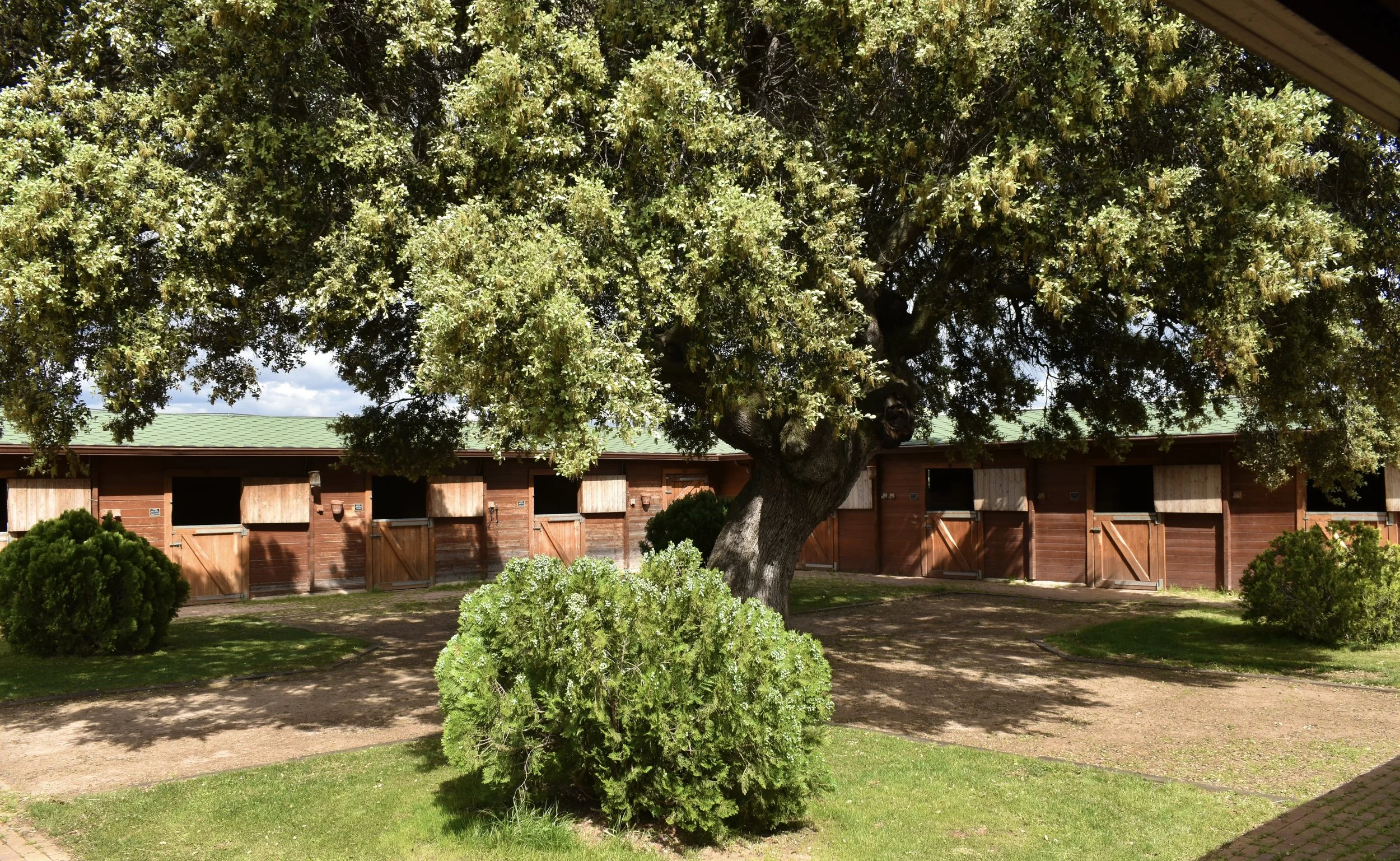 Patio de cuadras