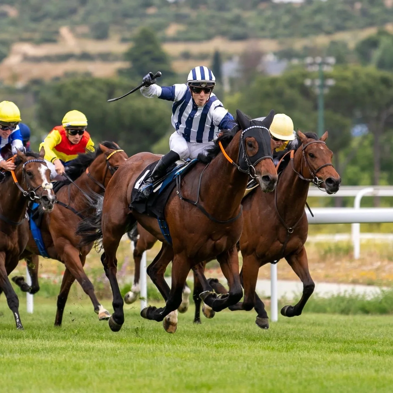Caballos de carreras en plena competencia en un campo de césped, con jinetes vestidos con colores llamativos y cascos, en un día soleado con fondo de montañas y árboles.