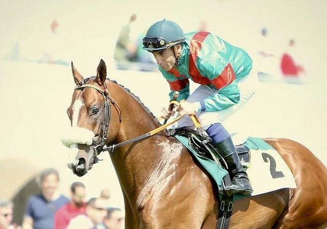 Jinete de caballos en una competencia de salto, vestido con uniforme color turquesa y rojo, casco y gafas, montando un caballo marrón con pabellón y numéro 2.