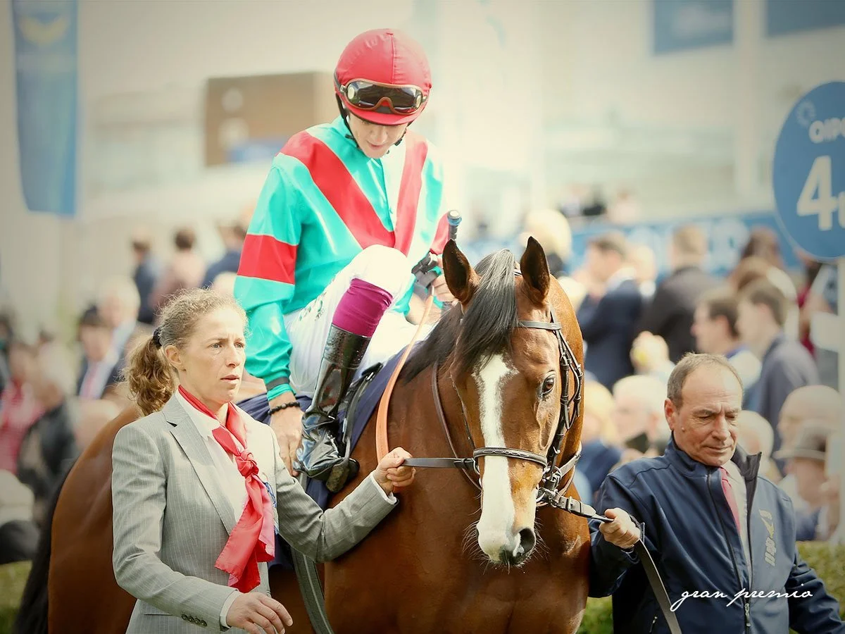 Jinete con traje de equitación y casco en una carrera de caballos, acompañado por dos personas que lo acompañan y sostienen las riendas del caballo, en un ambiente concurrido de espectadores.