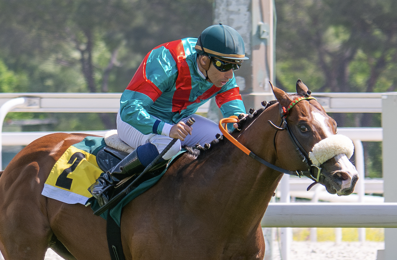 Jinete en competición de carreras montando un caballo de carrera.