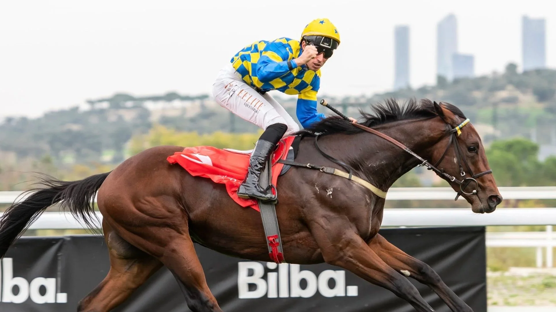 Caballo de carrera con jinete en un circuito en Bilbao