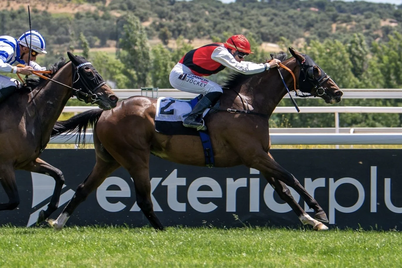 Caballista compitiendo en una carrera, con otra caballista cerca, en un circuito de césped y fondo de árboles.