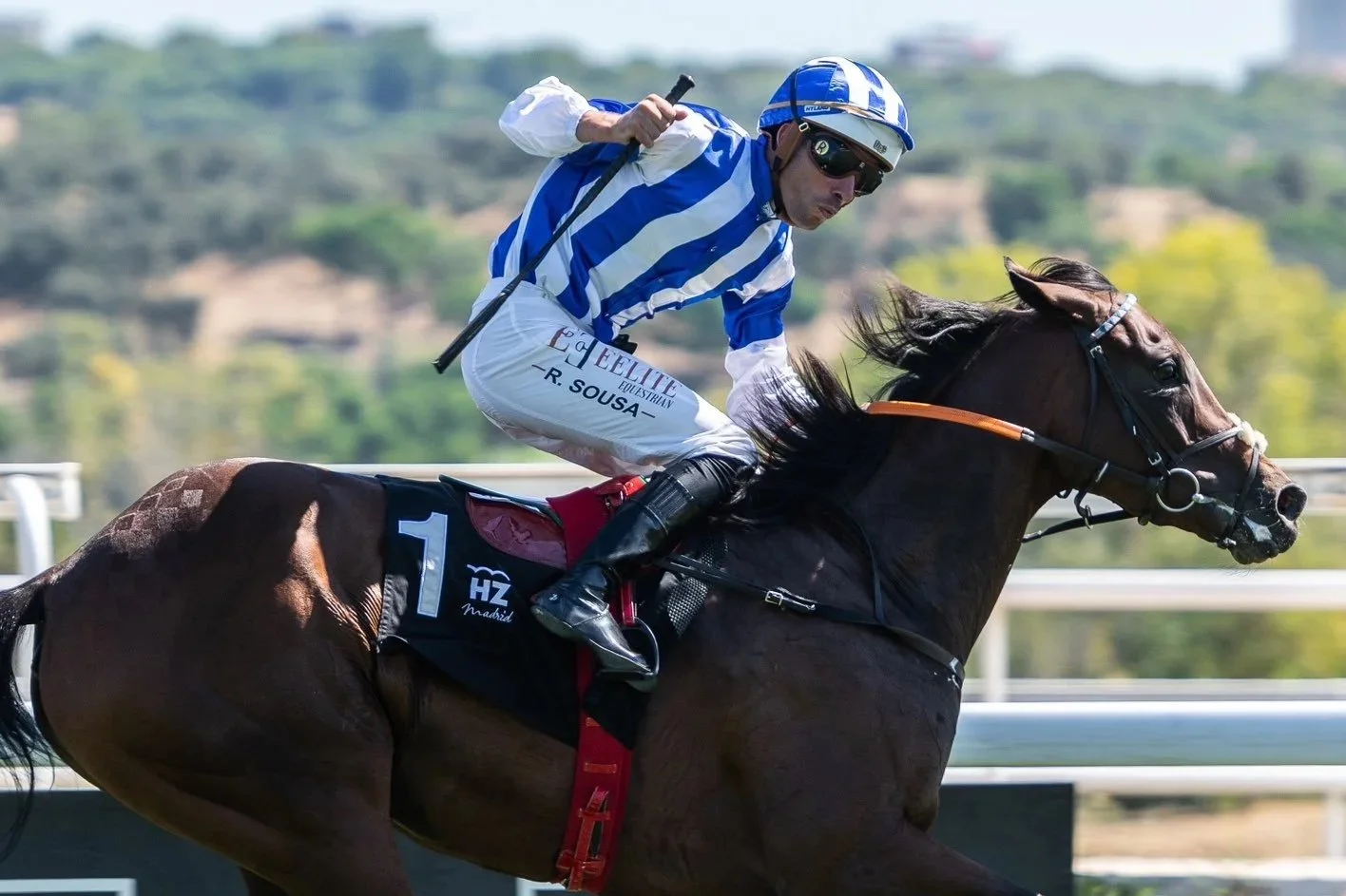 Jinete montando un caballo en una carrera de caballos al aire libre.