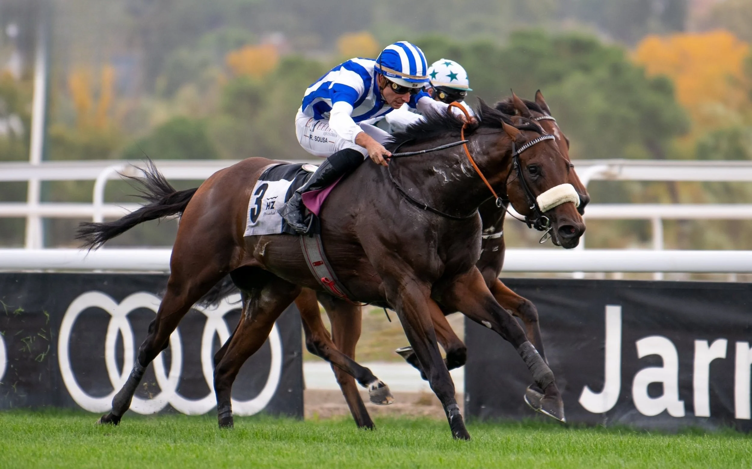 Dos caballos en una carrera, uno con jockey de camiseta a rayas azules y blancas, y el otro con casco blanco con estrellas verdes y jockey con camiseta blanca, en un campo de césped.