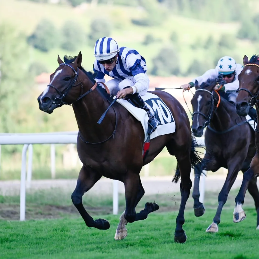 Caballos de carreras y jinetes compitiendo en una pista de césped.