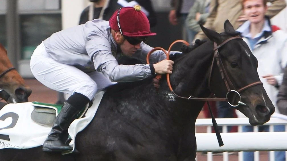 Jinete montando un caballo durante una carrera en un campo de césped.
