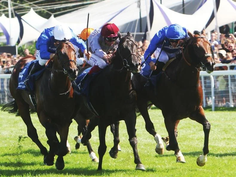 Caballo de carrera con jinete durante una competencia en una pista de turf.