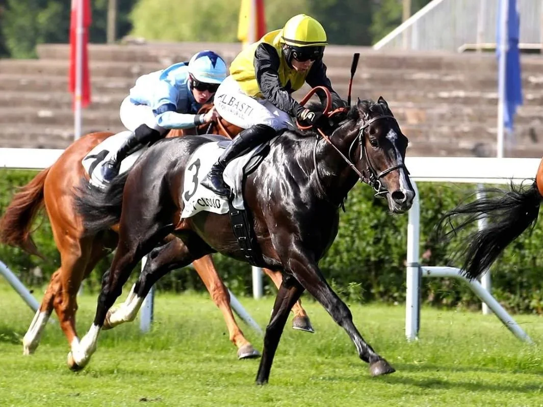 Dos jinetes compitiendo en una carrera de caballos, uno con casco amarillo y otro con casco azul, en un campo de turf.