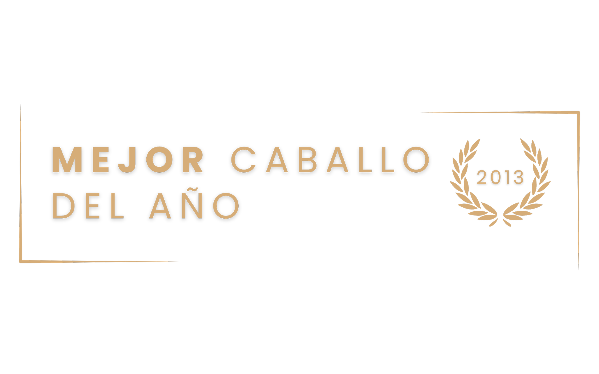 Premio para el mejor caballo del año 2013