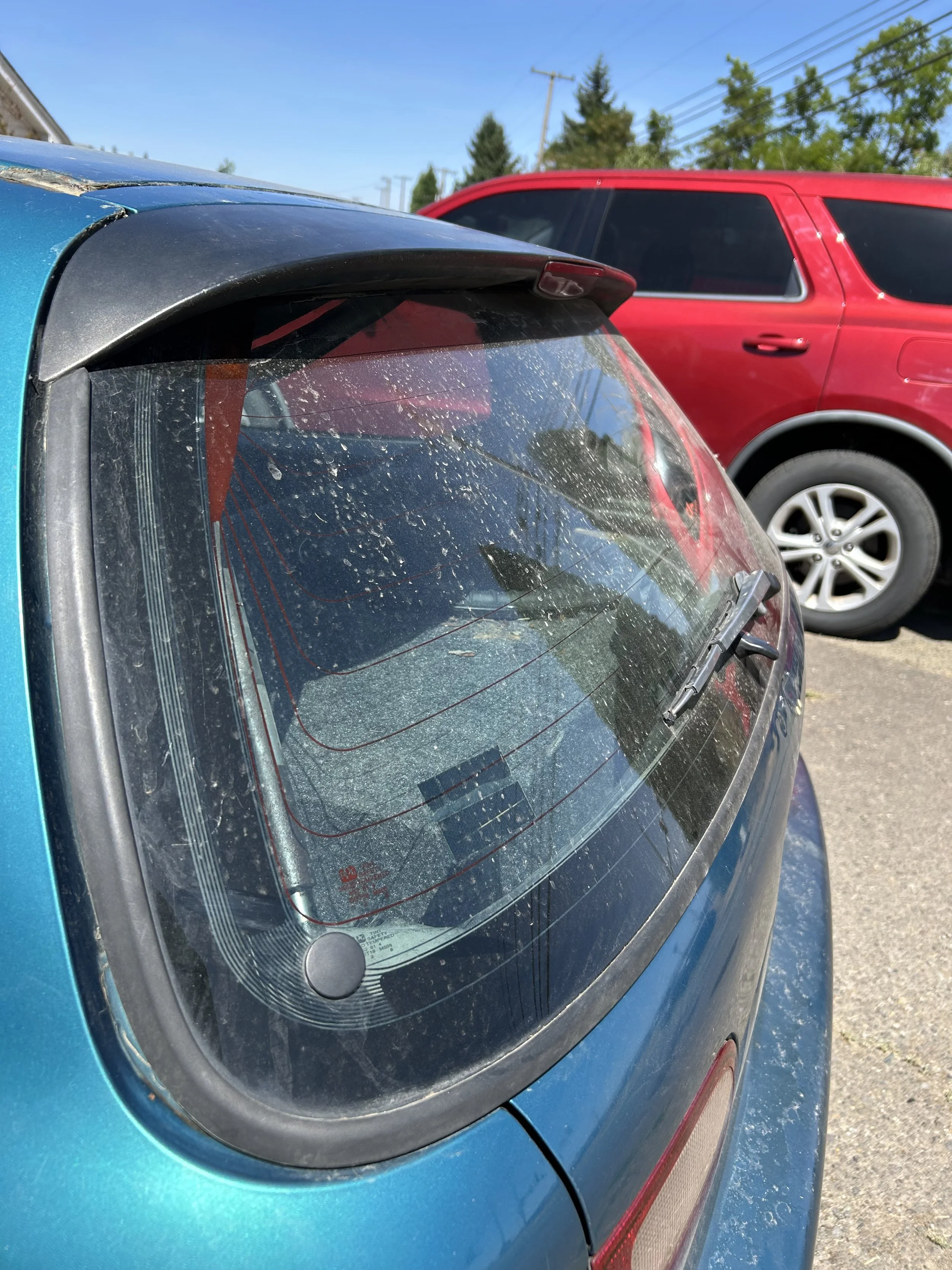 Close-up of the rear window of a blue car with a black spoiler, showing a dusty and dirty window surface
