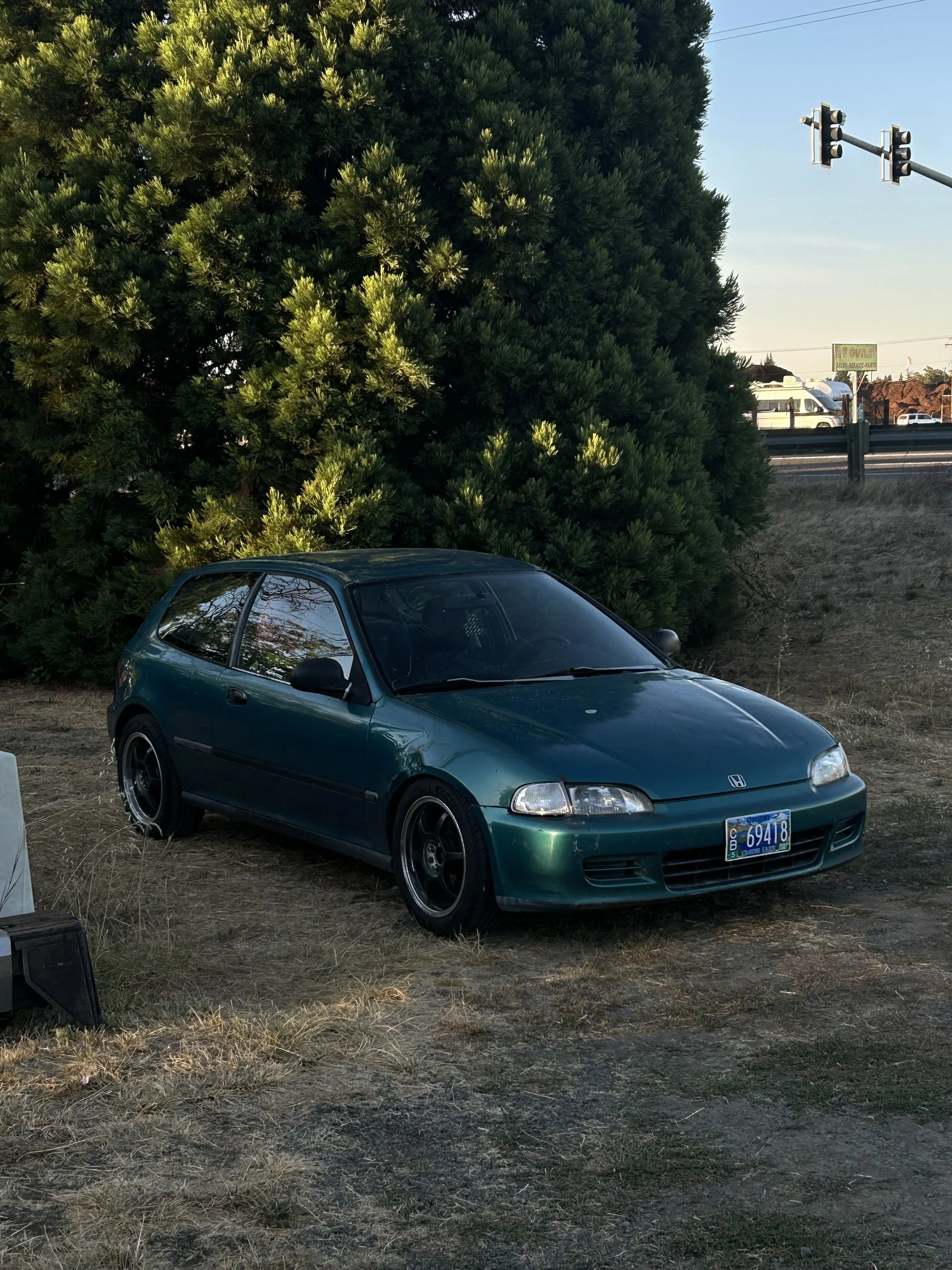 Green Honda Civic parked on a patch of dry grass with a large bush behind it. A traffic light is visible in the background, along with a road and some buildings.