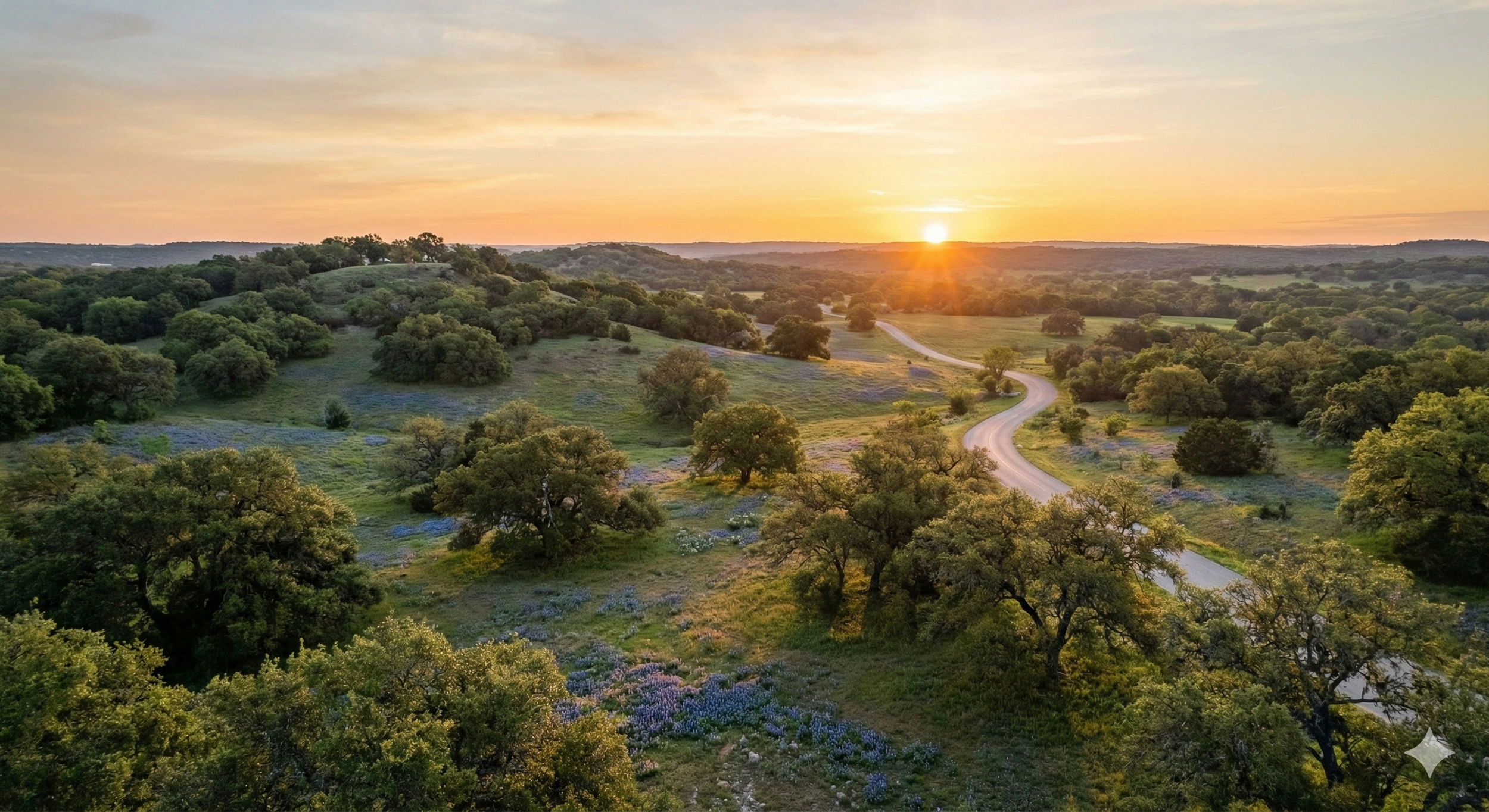 Sunset over green hills with scattered trees and wildflowers, winding dirt road