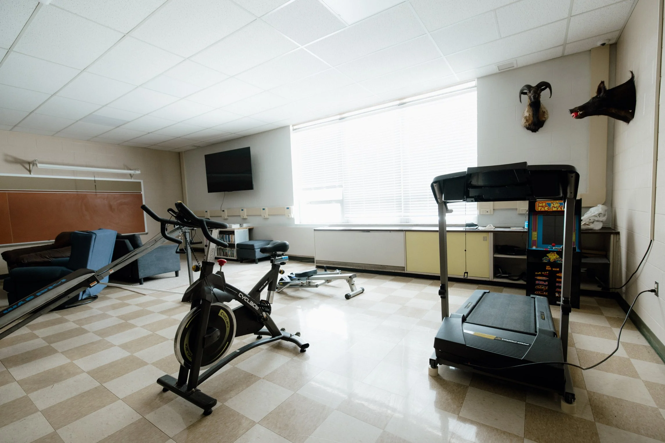 A multi-purpose room with exercise equipment, a treadmill, a stationary bike, an elliptical machine, and a sitting area with a chair and a couch. There is a large window with blinds, mounted animal heads on the wall, a flat-screen TV, and a pinball machine.