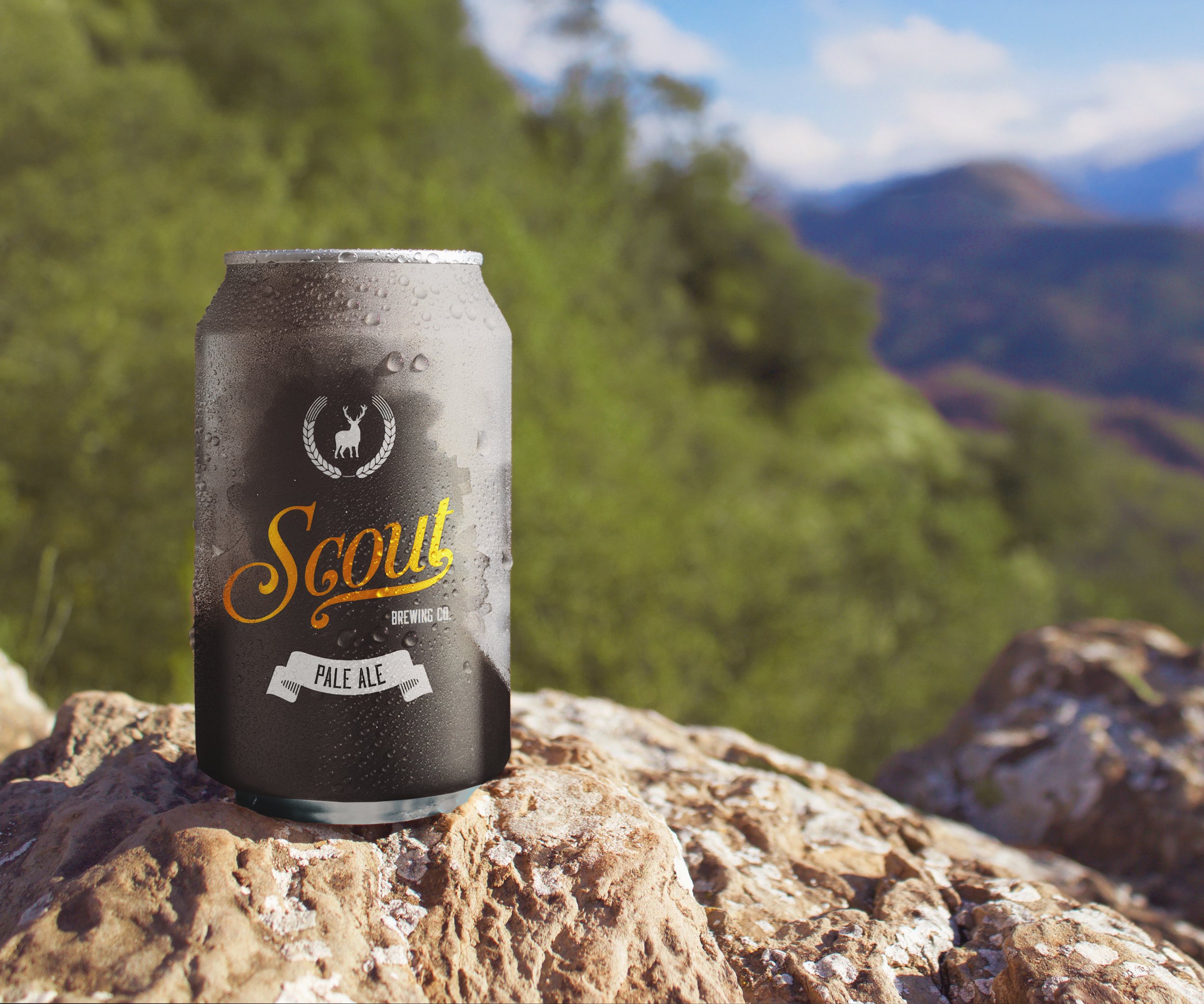 Nature-Beer-Can-Mockup-dark.jpg