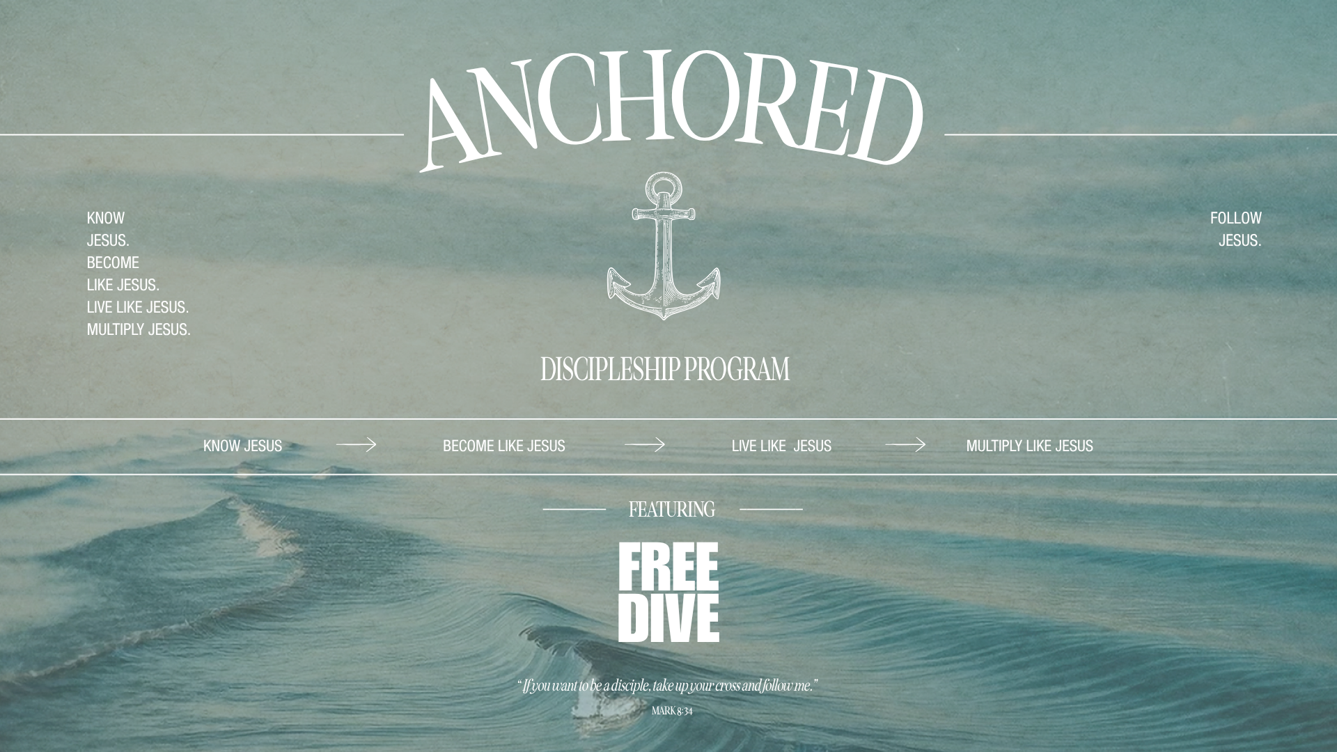 Anchored x Free Dive