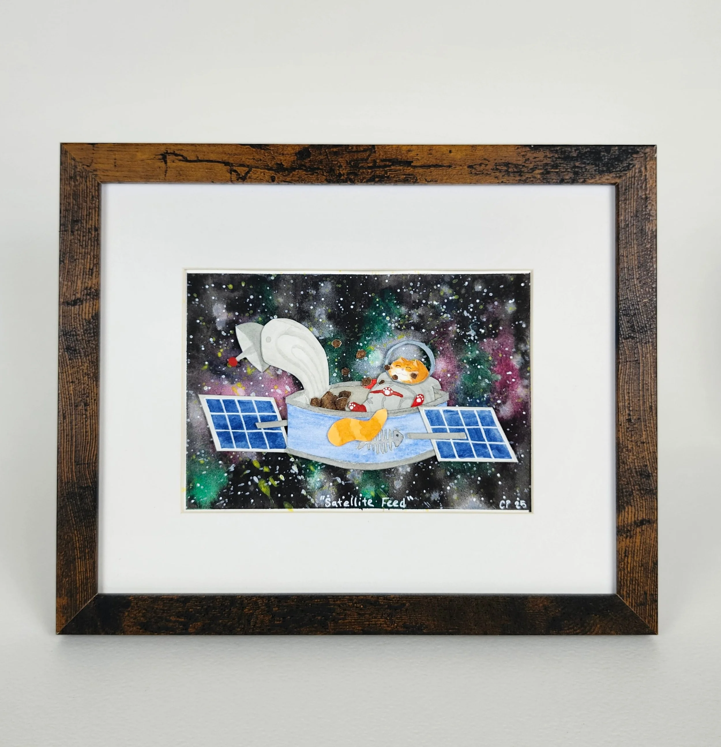 Original - Sat Feed (2).jpg