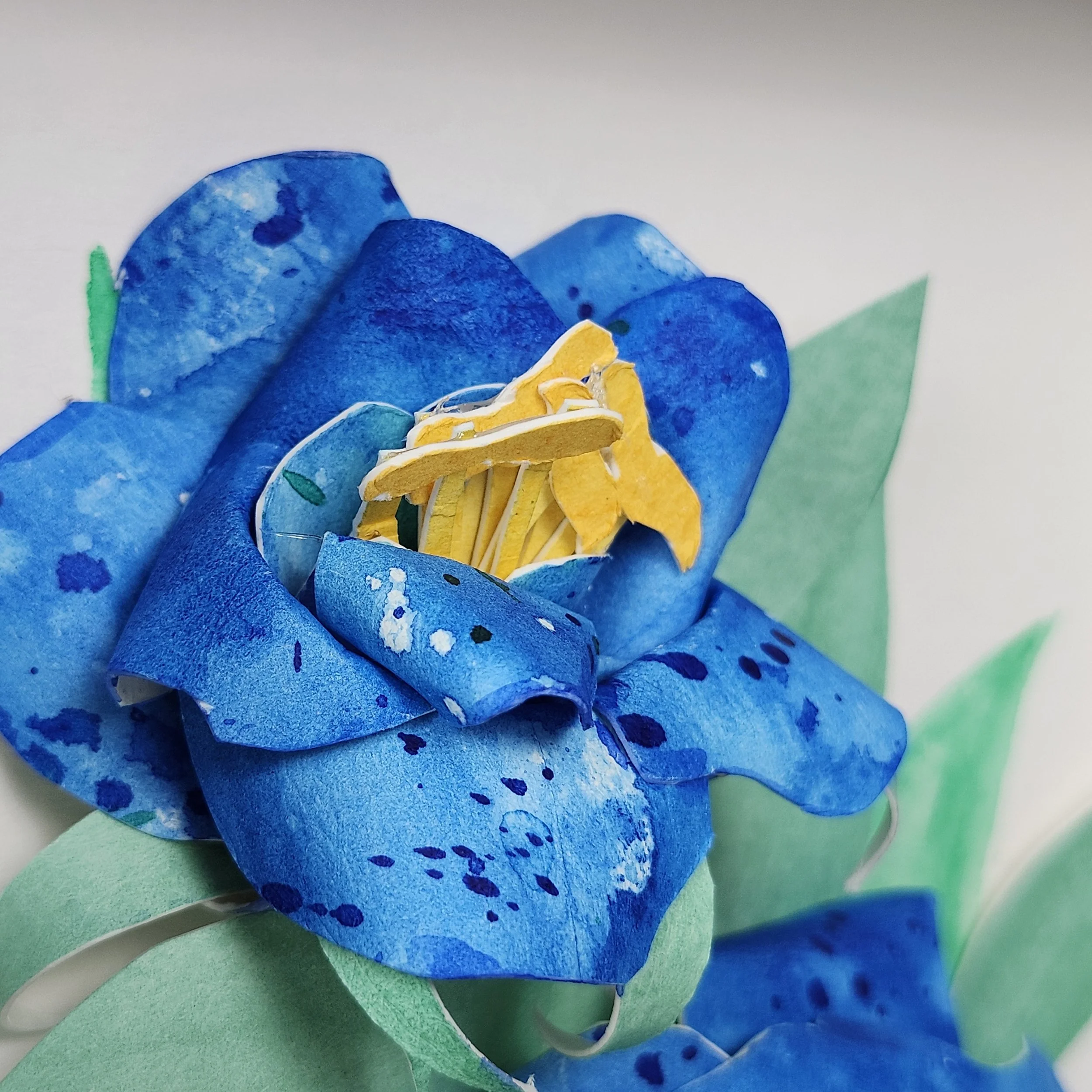 Original - Blue Rose 2 (6).jpg