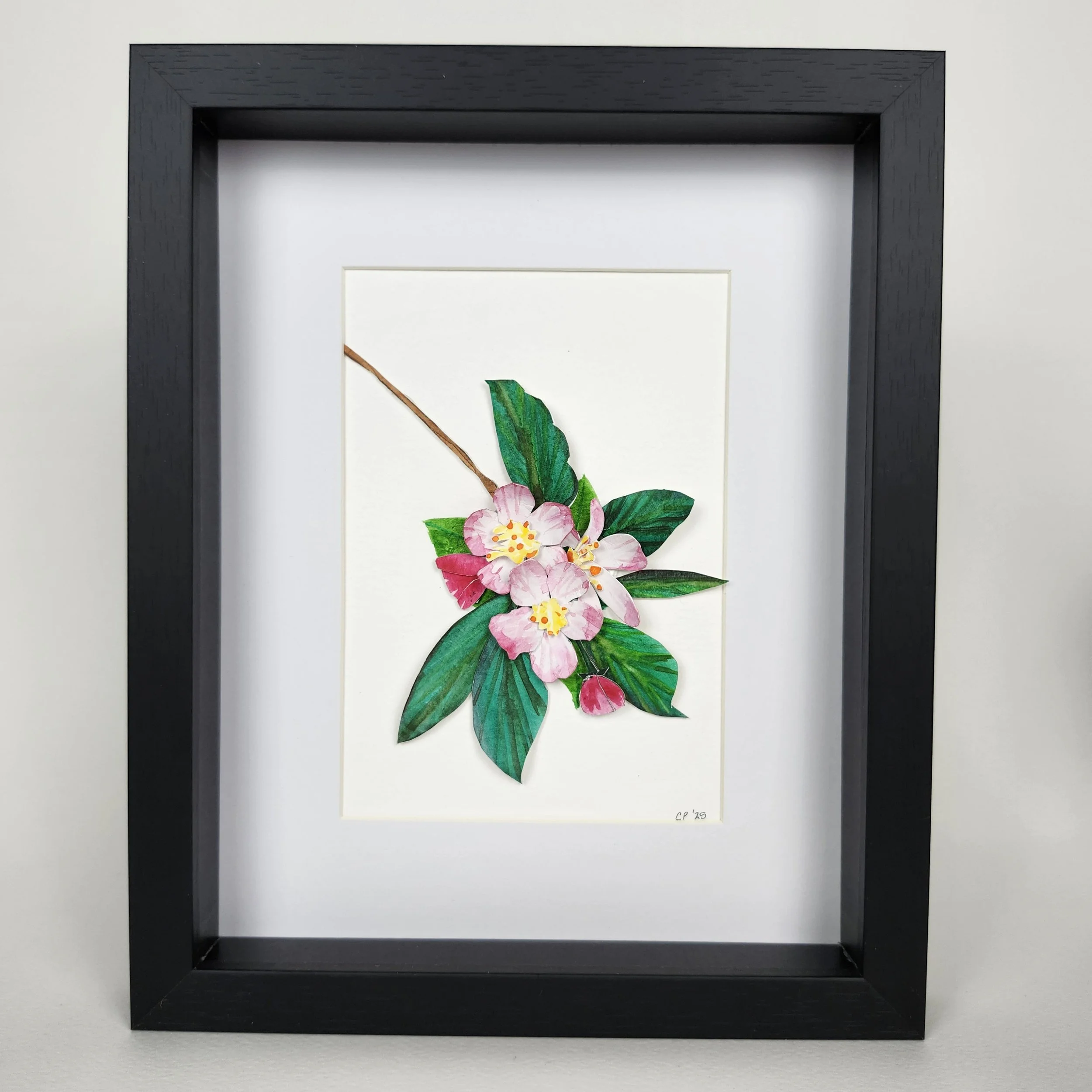 Original - Apple Blossem (5).jpg