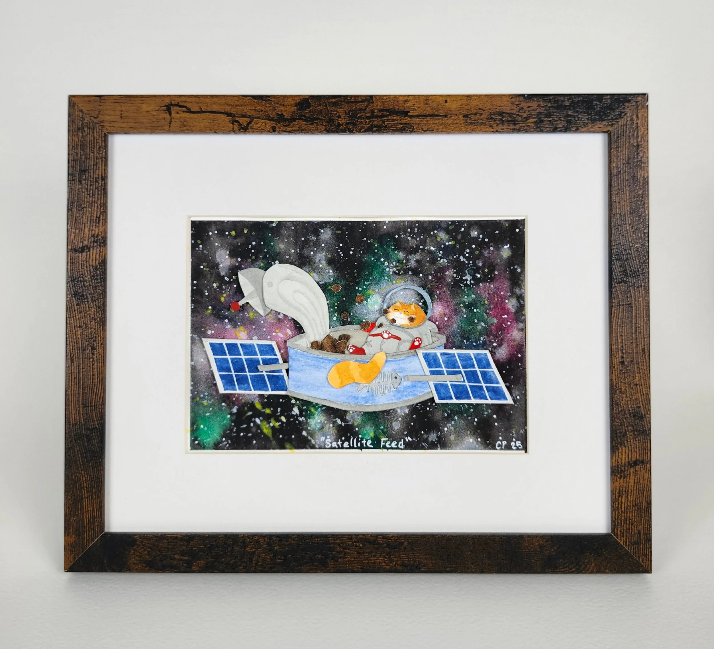 Original - Sat Feed (4).jpg