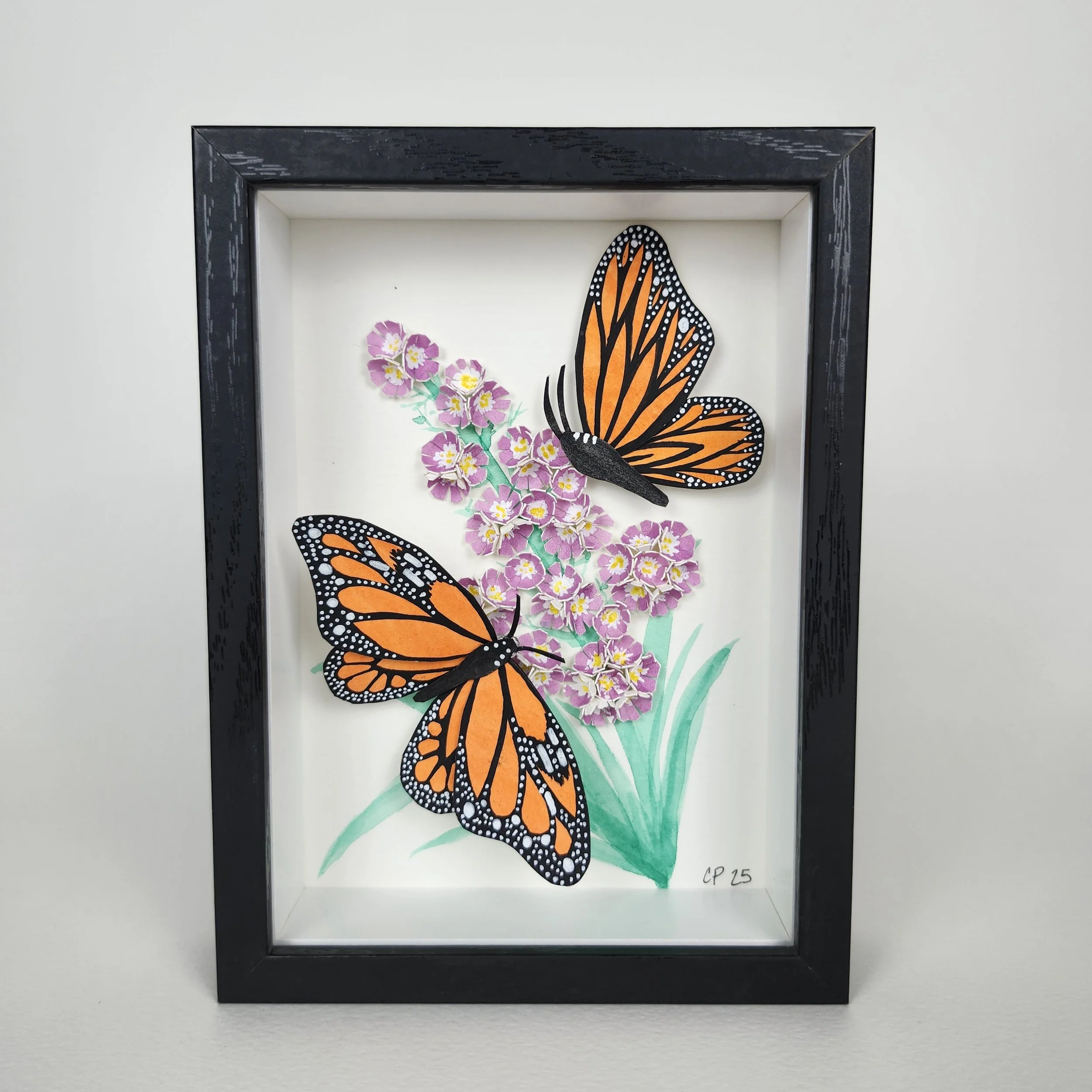 Original - Monarch 2 (2).jpg