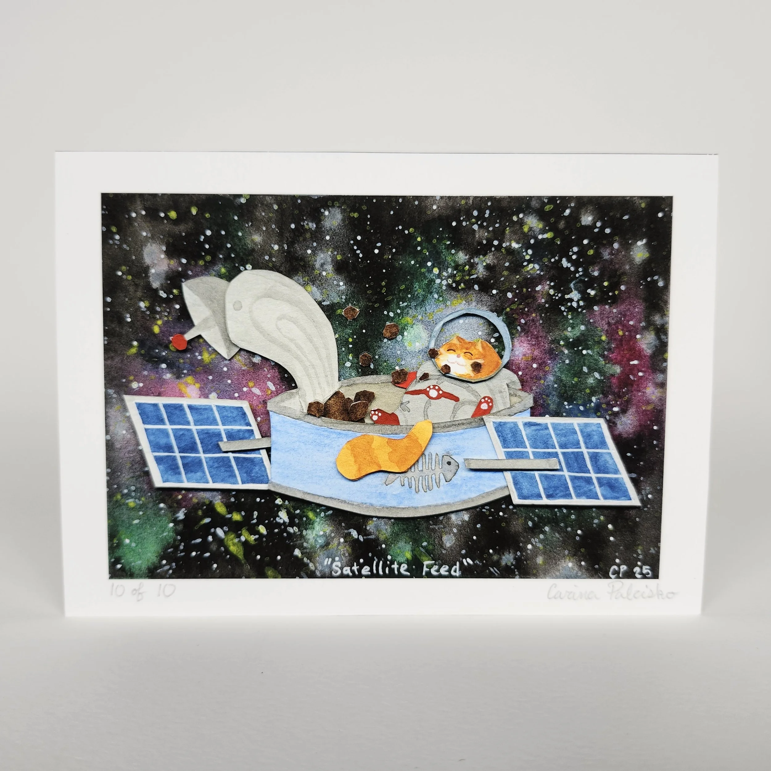 Prints - Satellite Feed