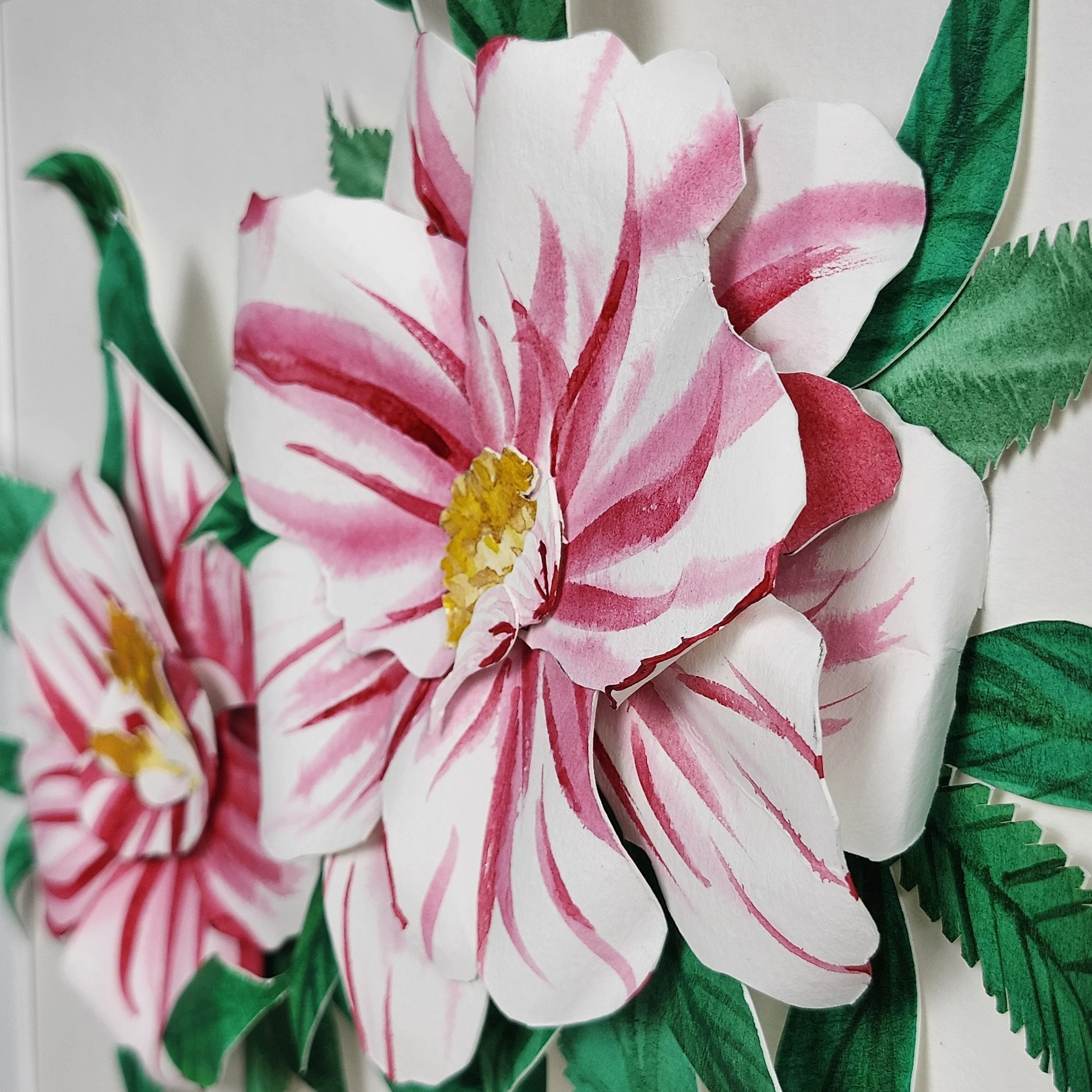 Original - Winter Roses (4).jpg