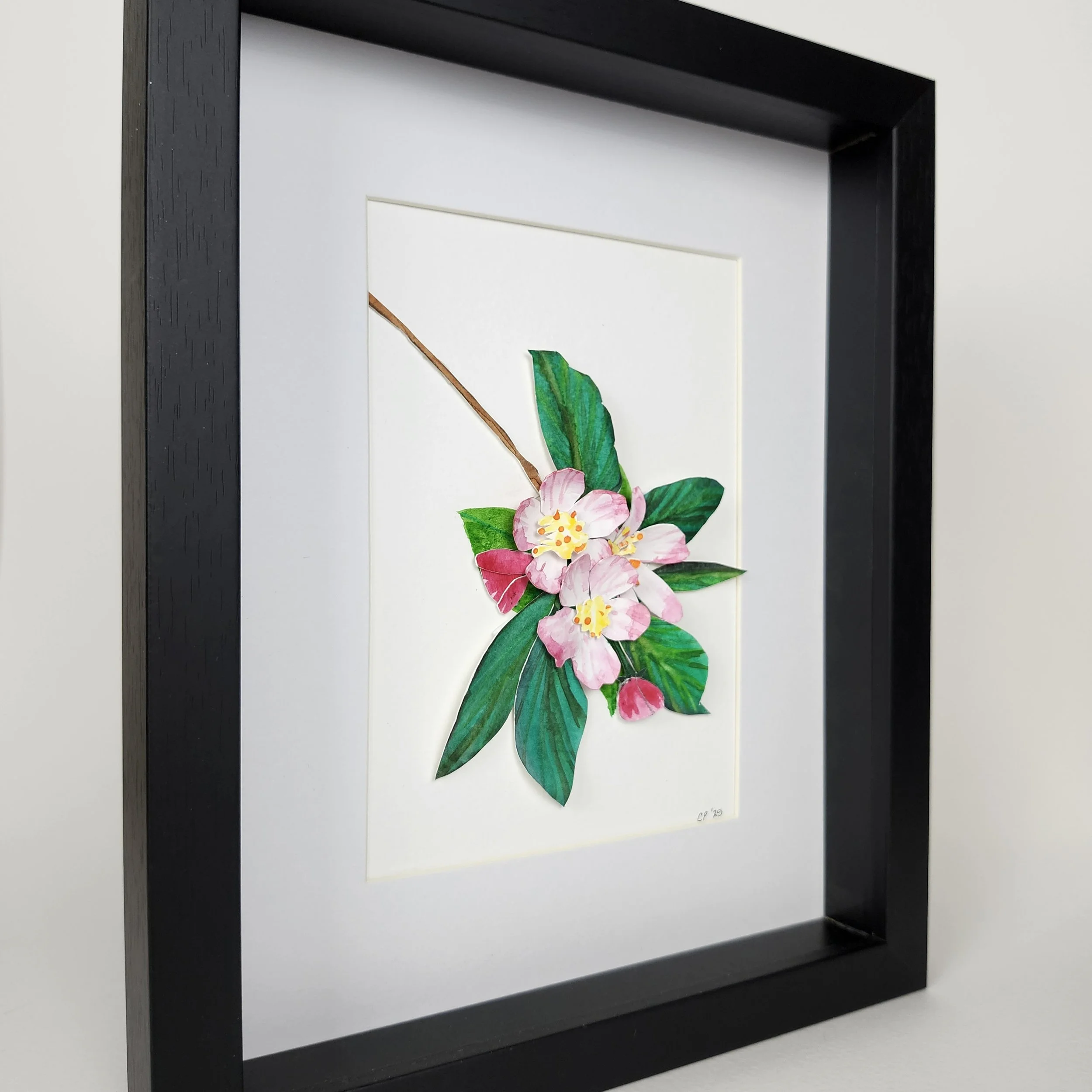 Original - Apple Blossem (4).jpg