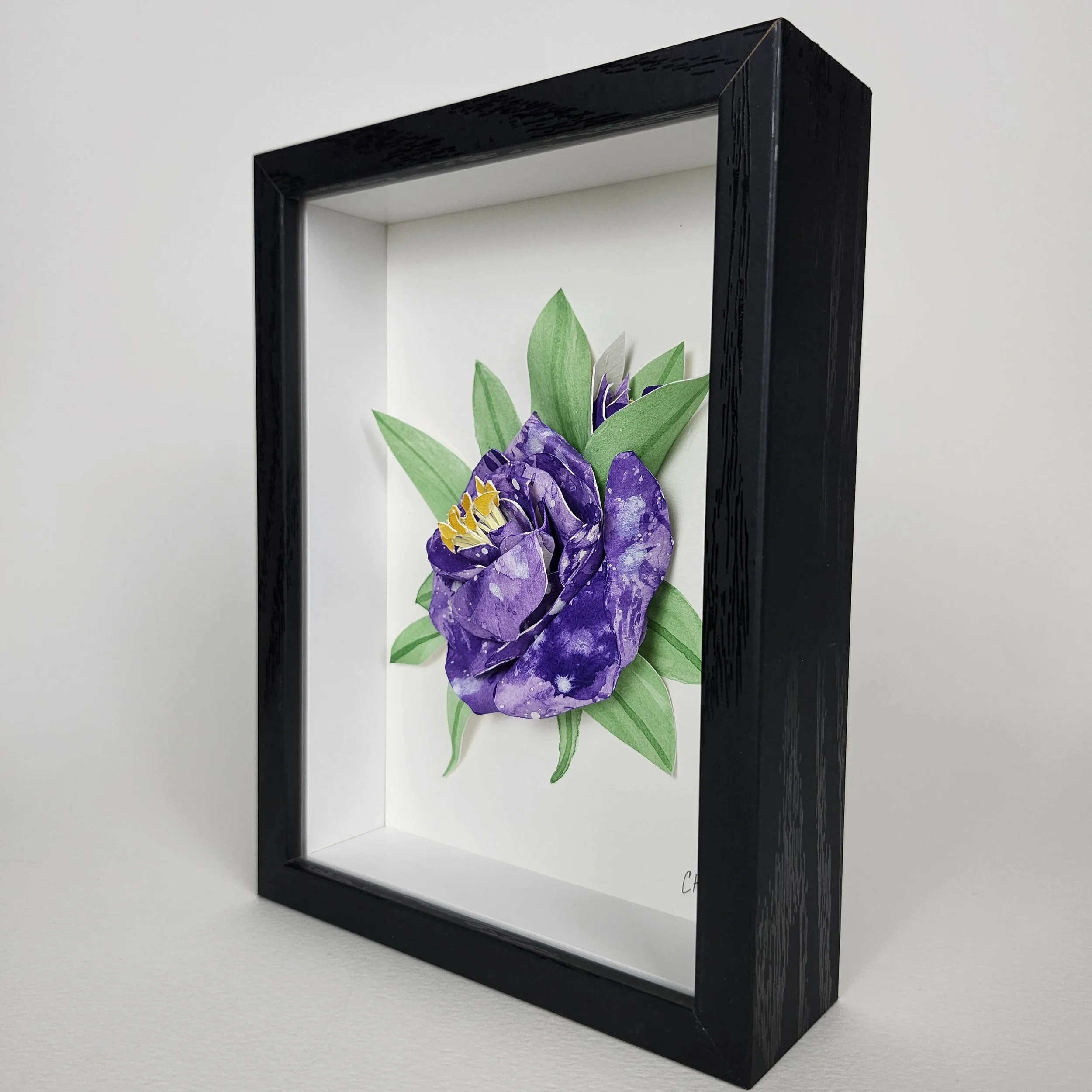 Original - Purple Rose (4).jpg